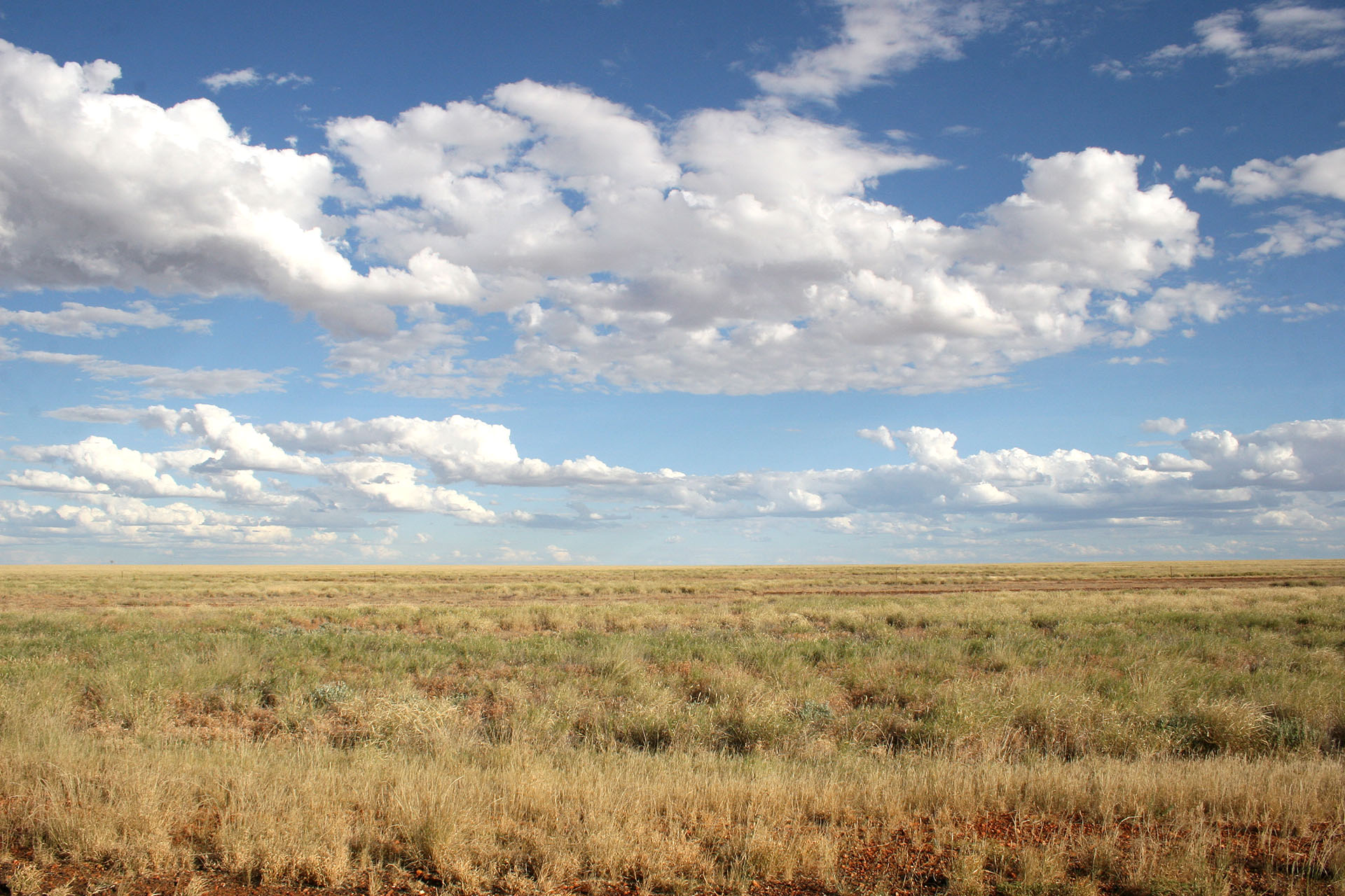 Vast plains of the Barkly Tableland next to the Queensland border.