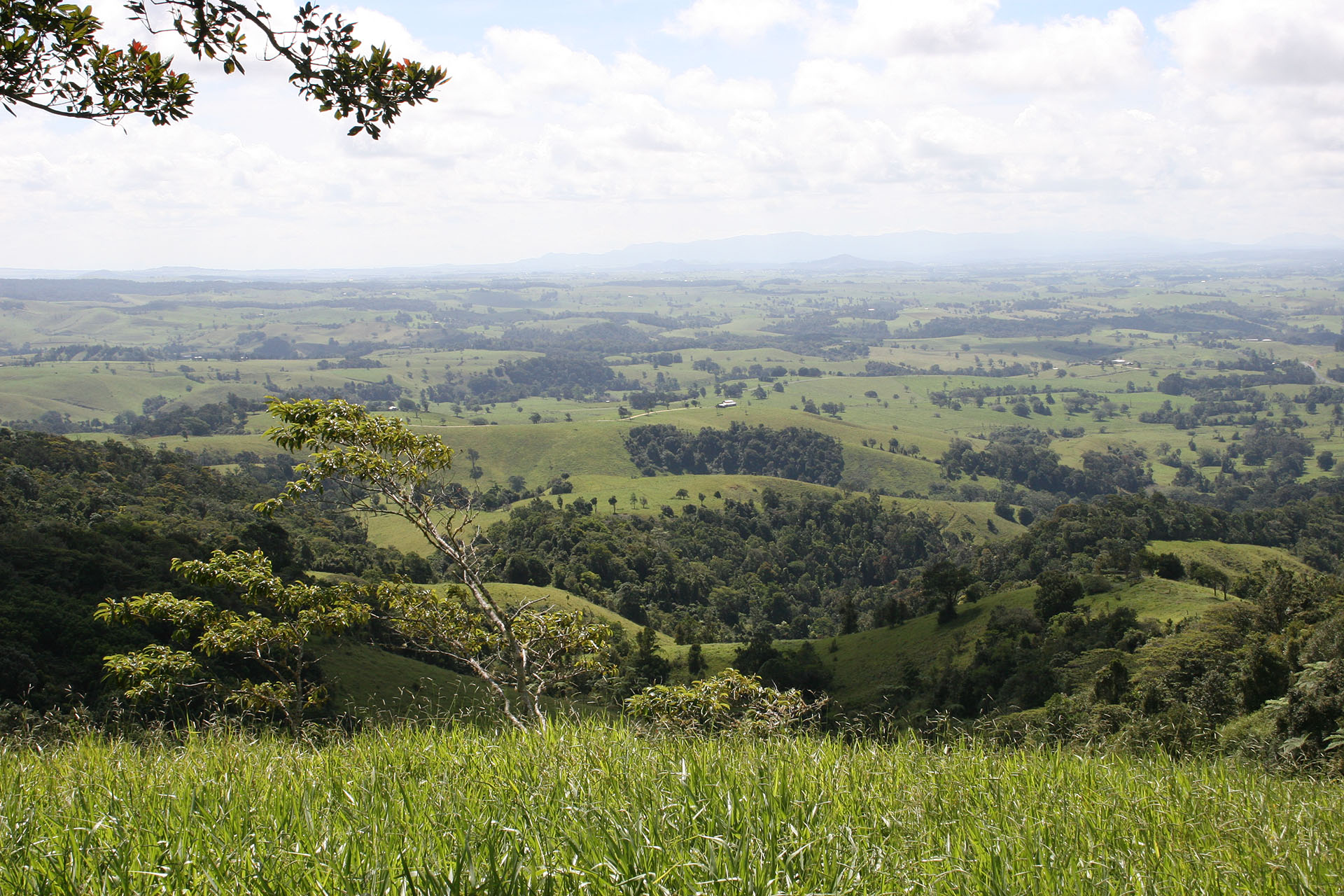 Behind the Great Dividing Range.