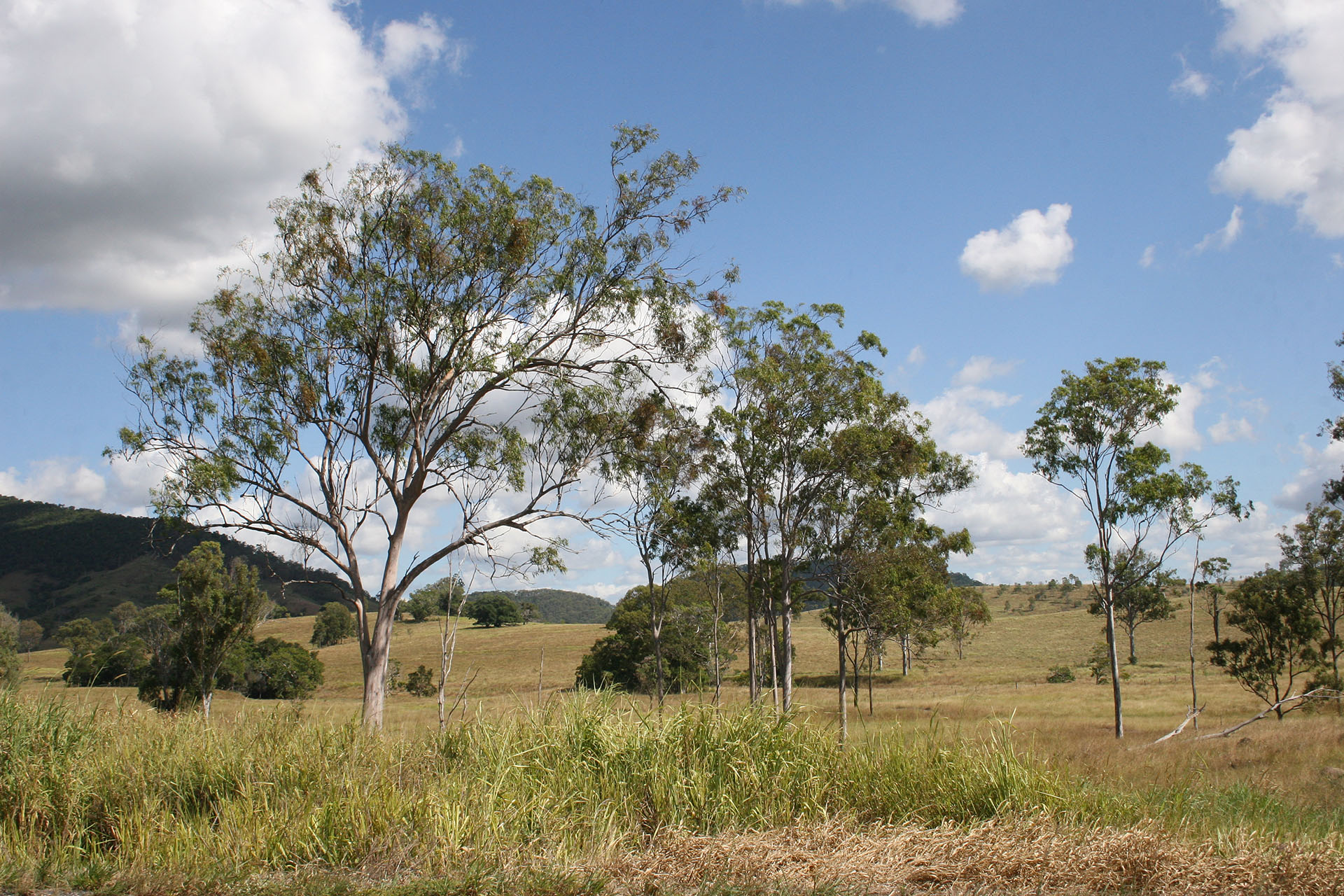 The surrounding scenery. Pictured <a href=