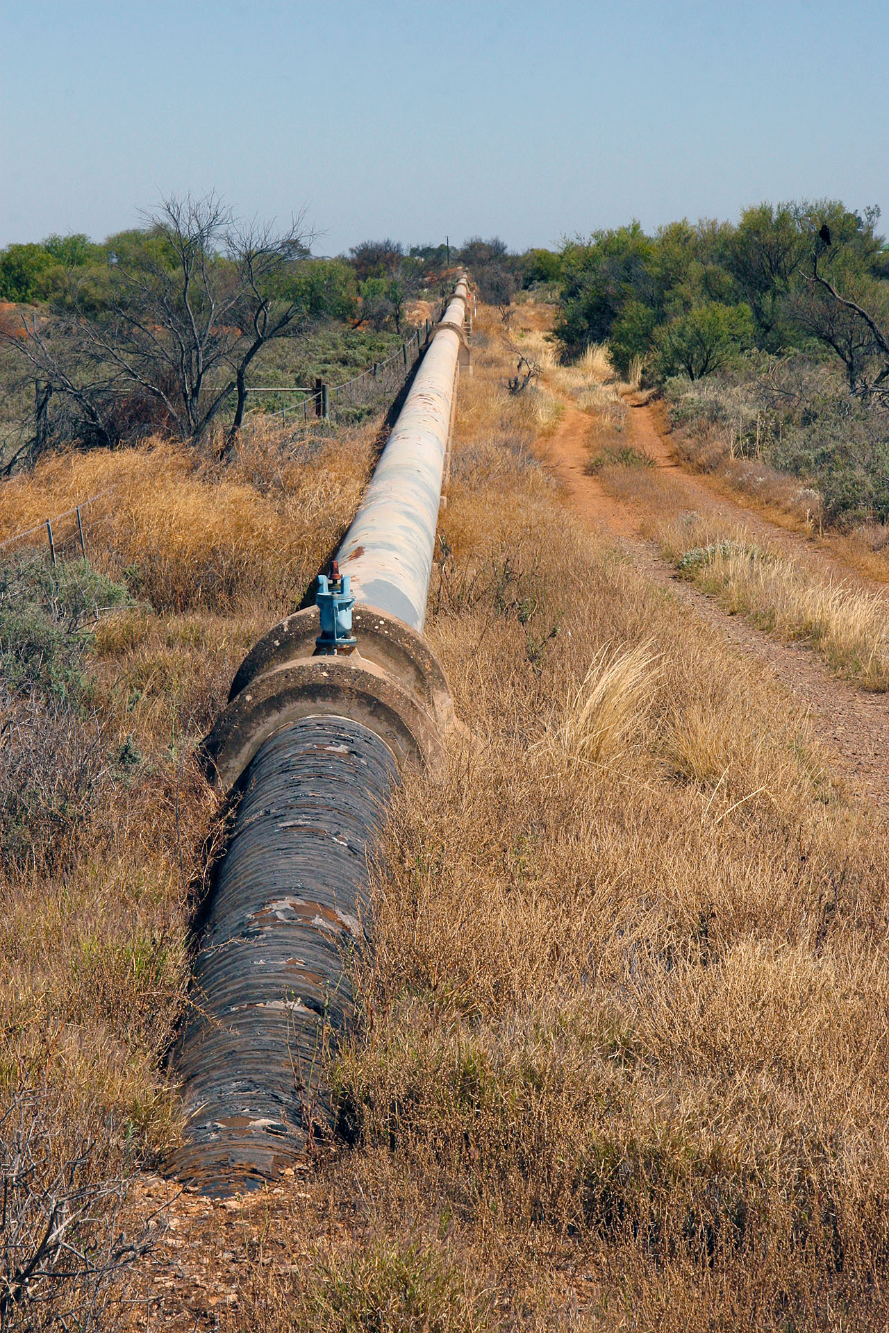 The life-giving pipe.