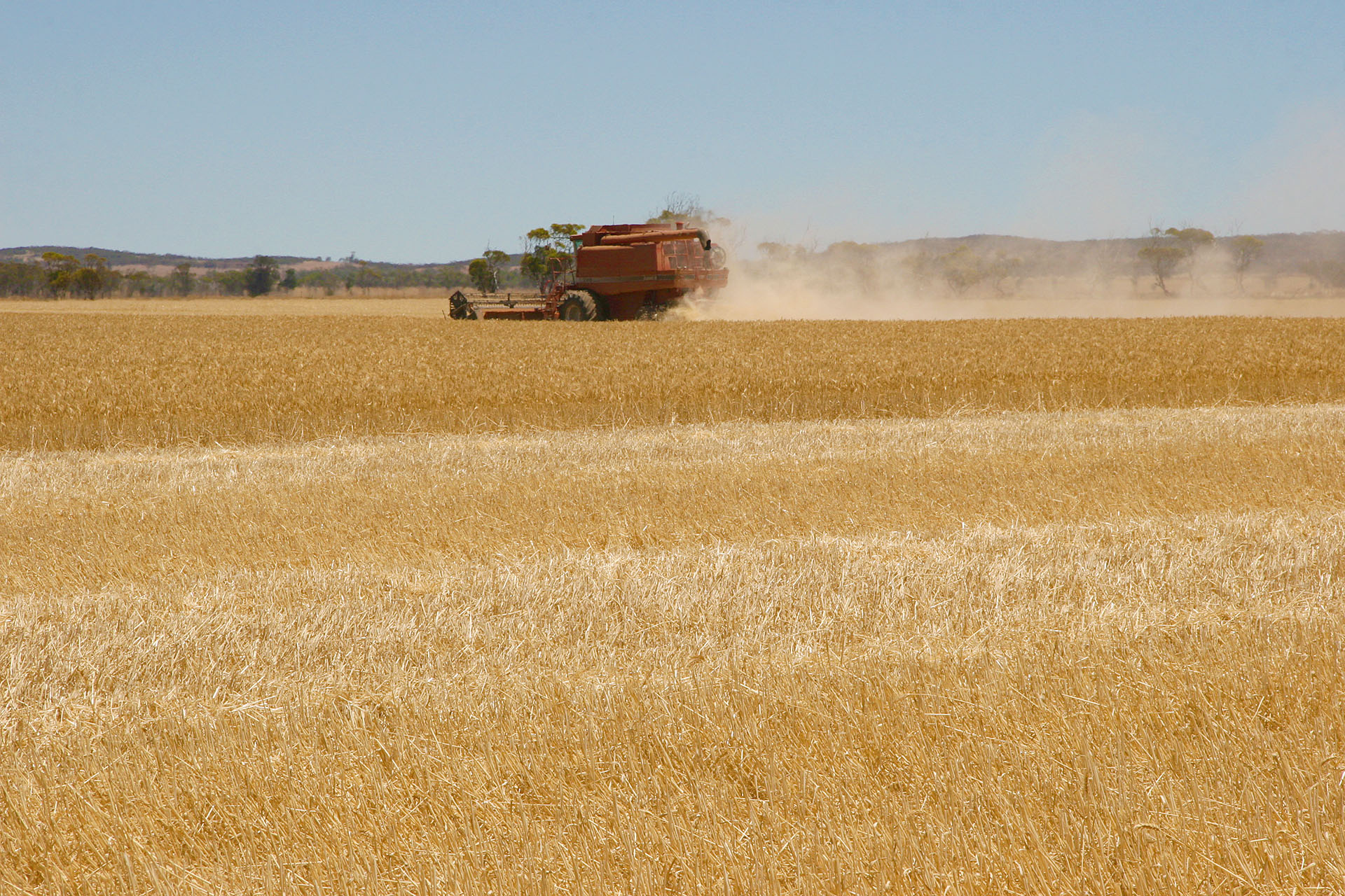 No rest for the farmers.