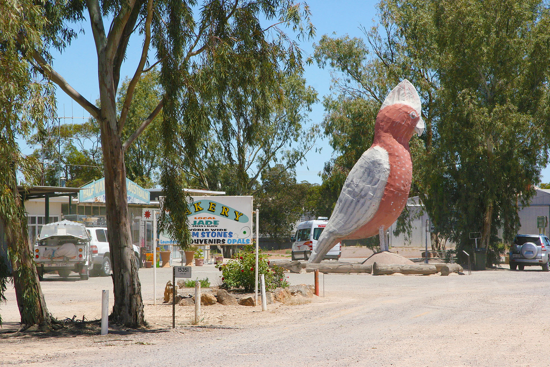 That's one big galah, all right.