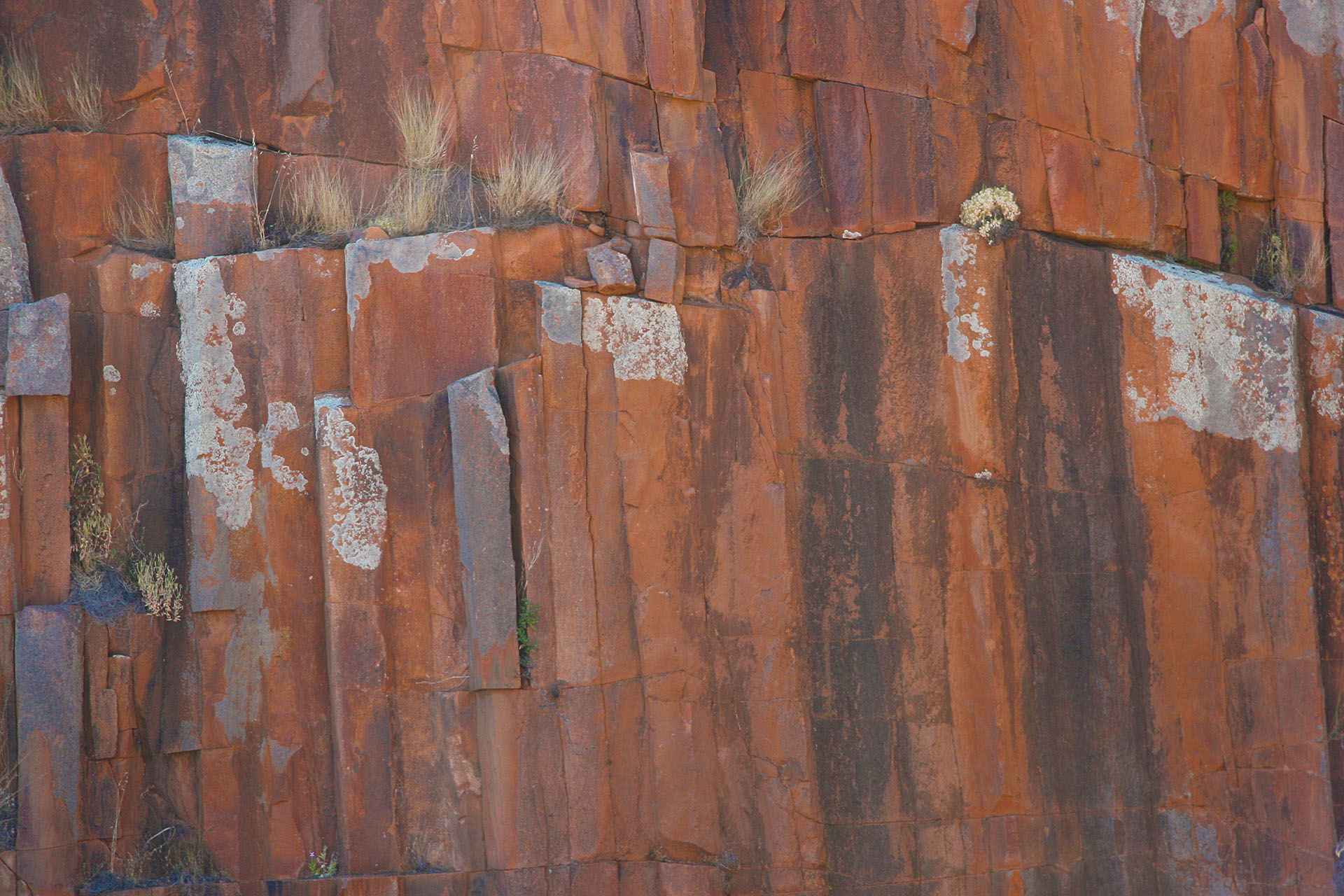 Some more of those “organ pipes”.