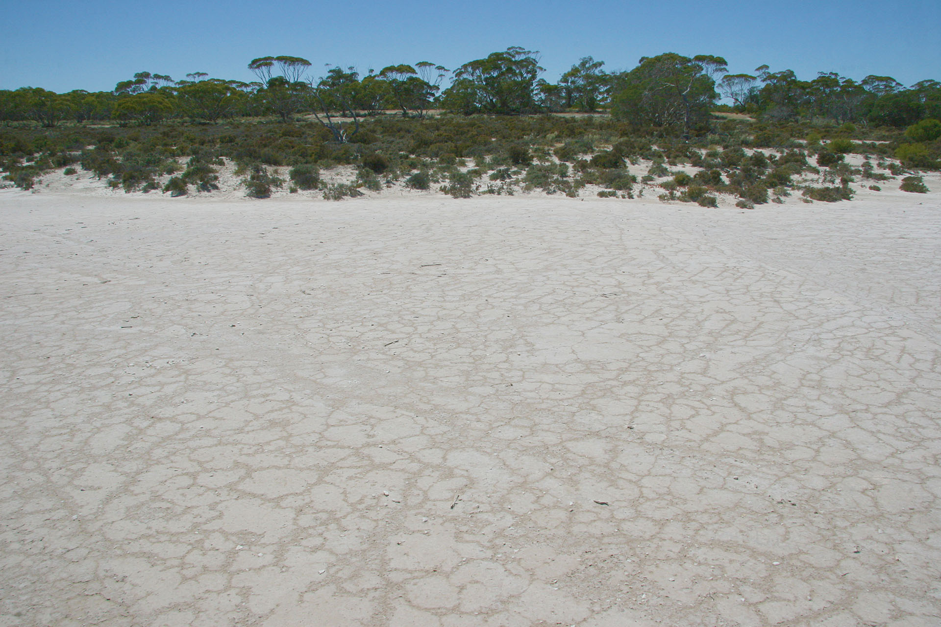 The crackled salt.