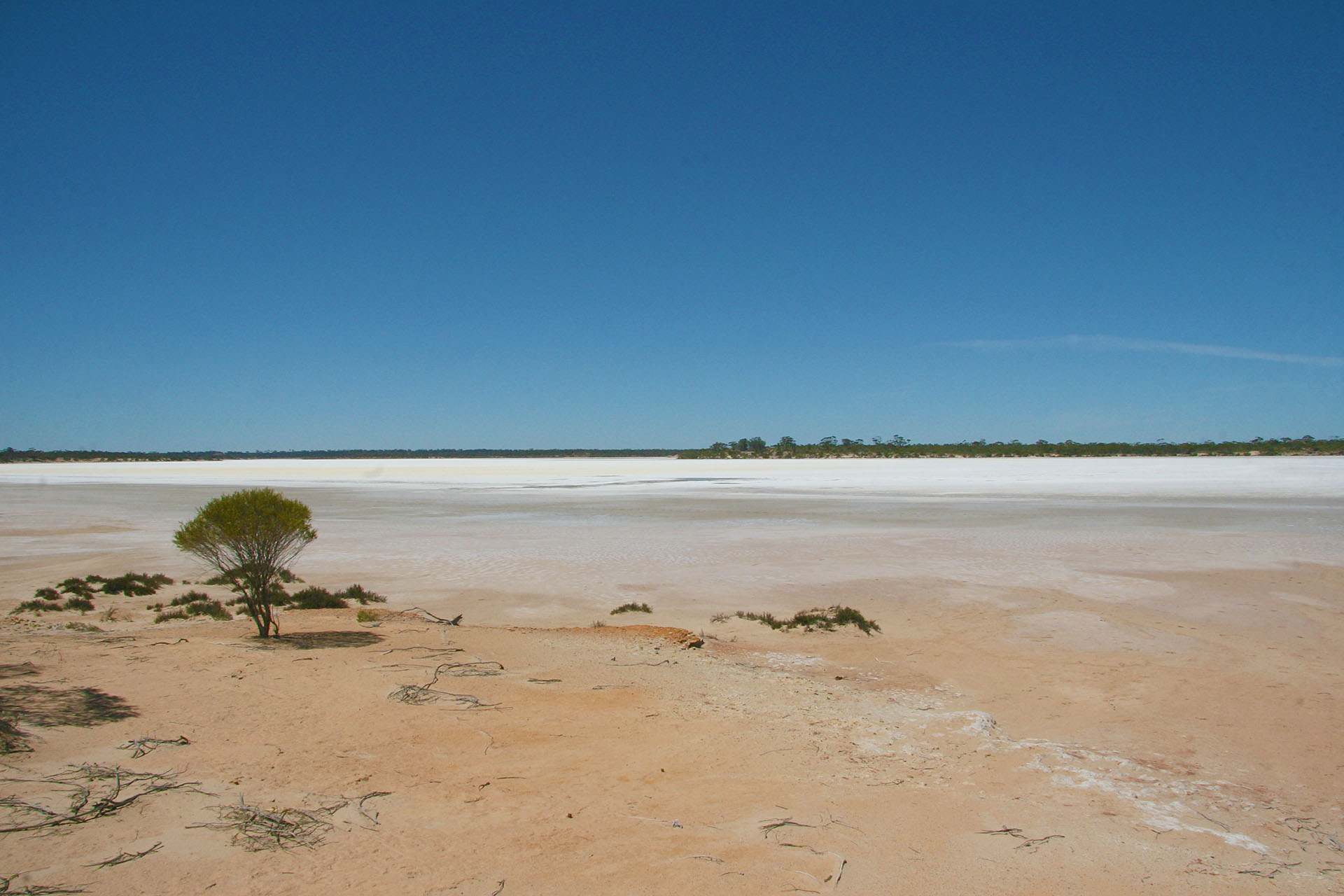 A salty vista.