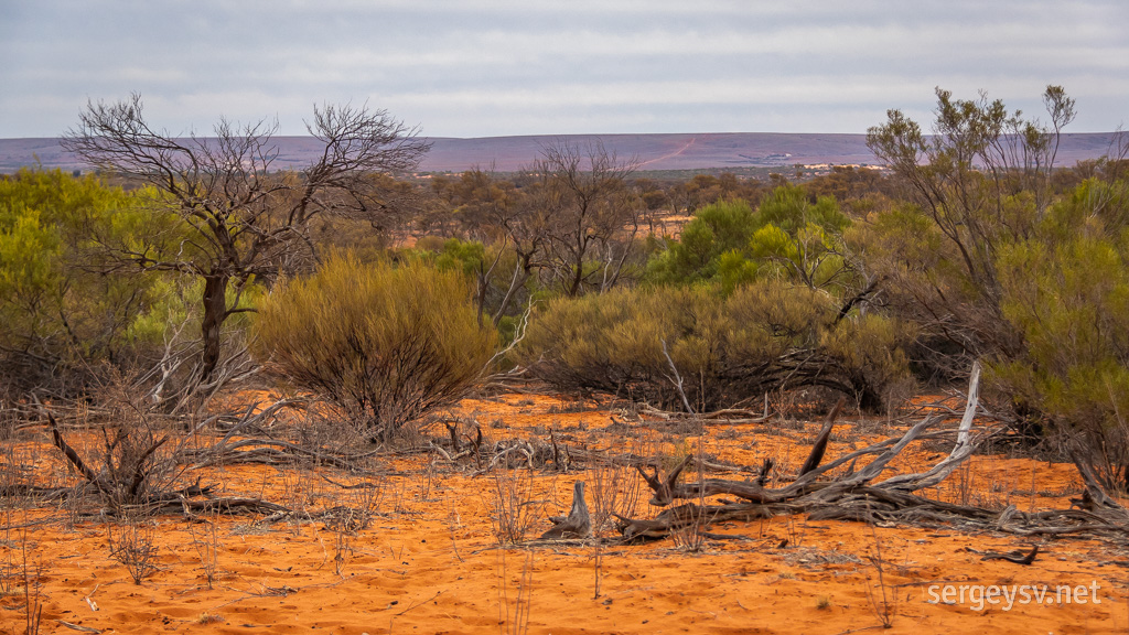 The orange sand dunes.