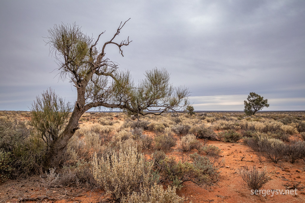 Cloudy sky, muted colours.