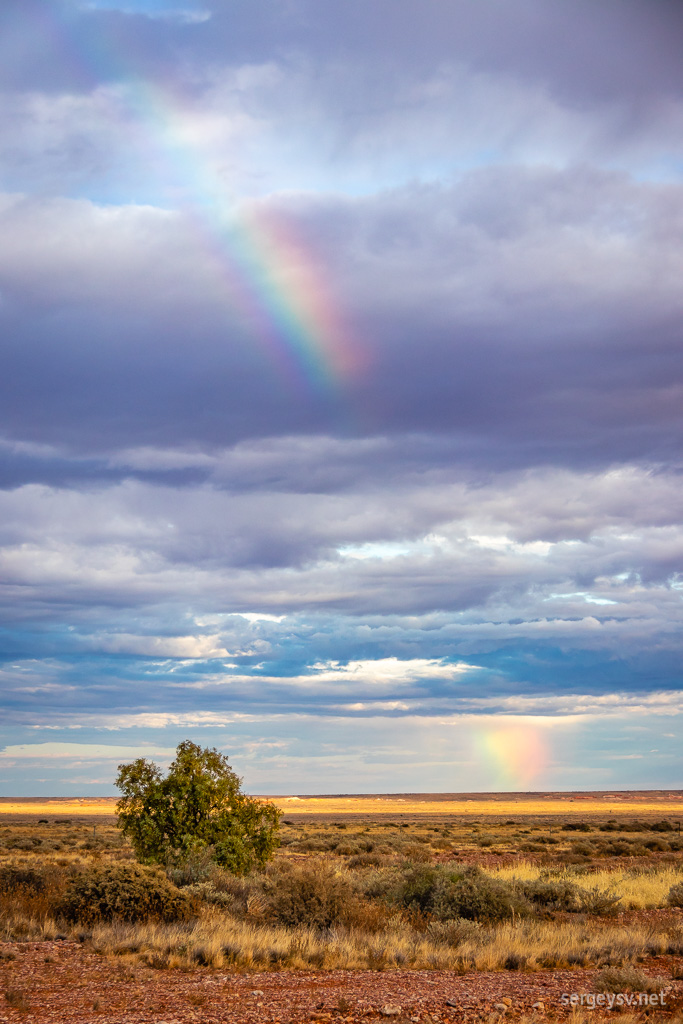 The rainbow of the desert.