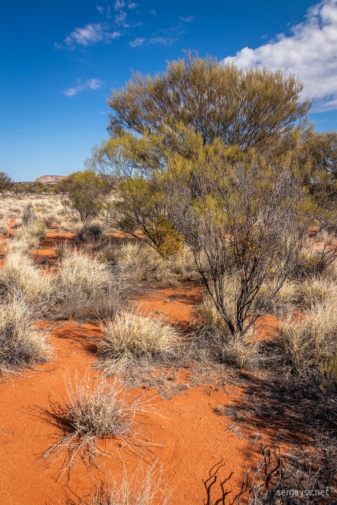 The scenery changes close to the border.