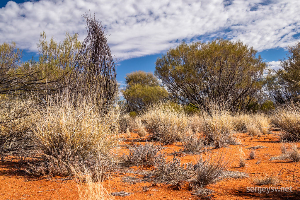 As does the vegetation.