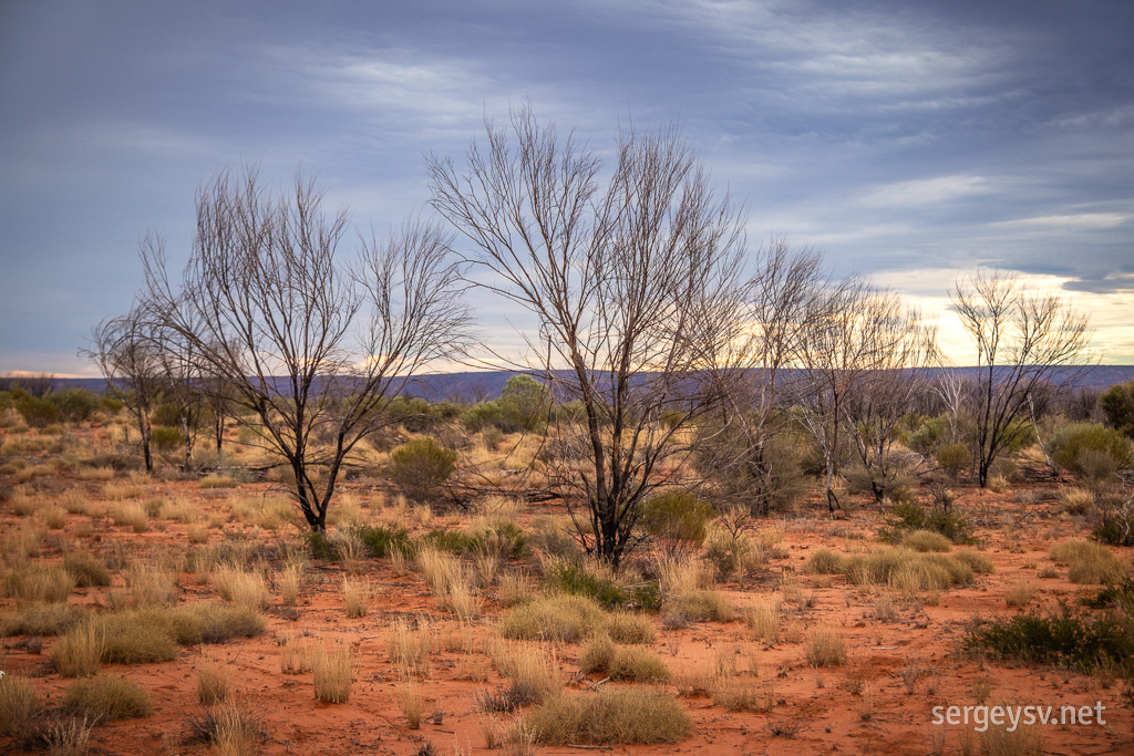 The Red Centre.