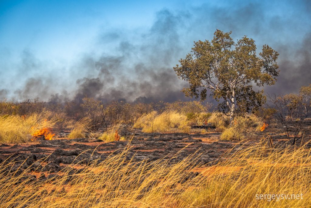 The bushfire.