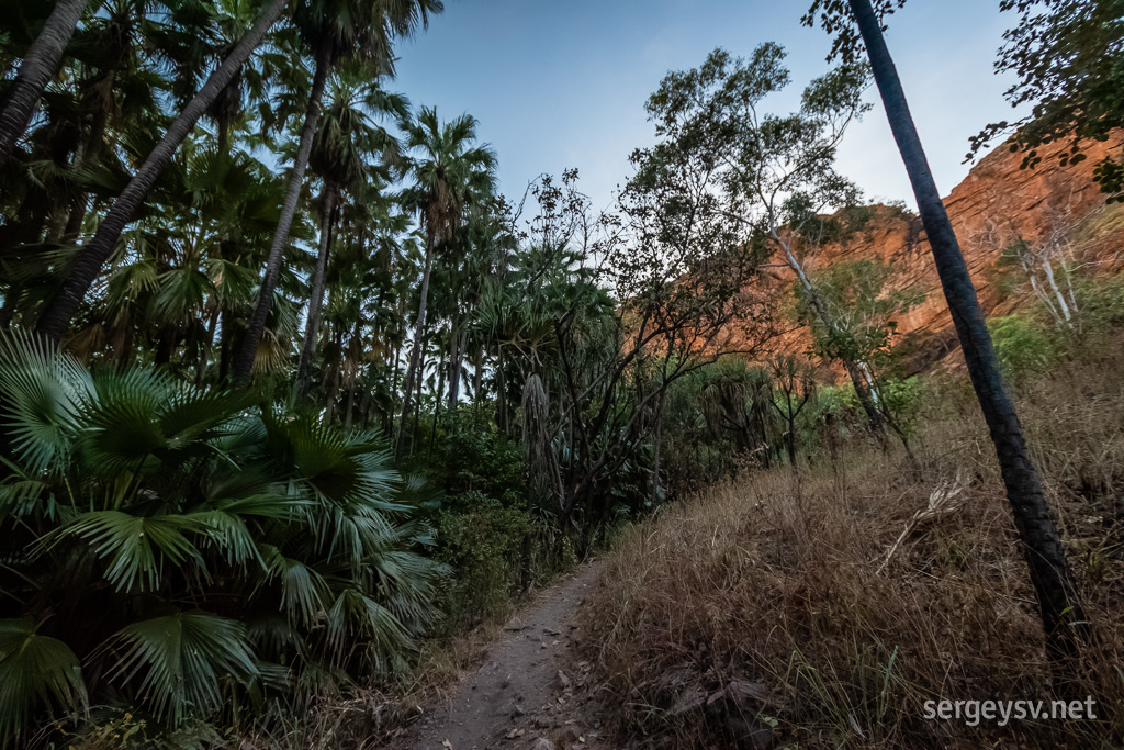 Lots of palms. Lots of sandstone.