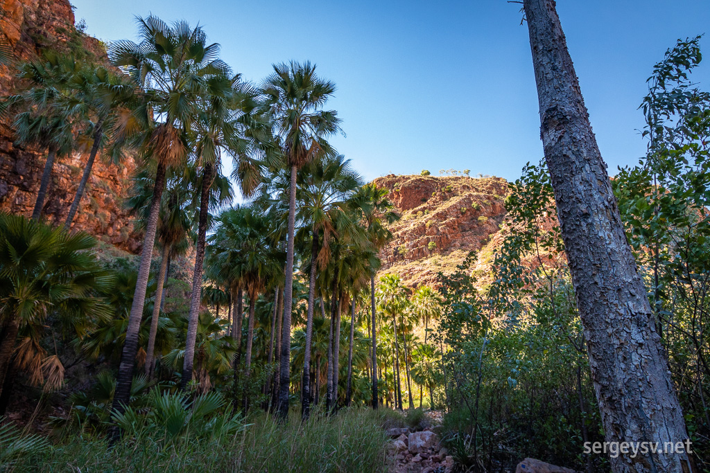 Entering the El Questro Gorge.