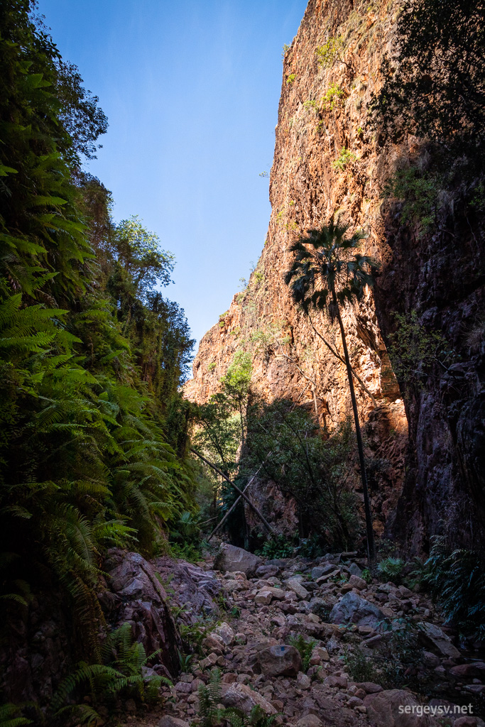 The walls of the gorge are tall and covered with vegetation.
