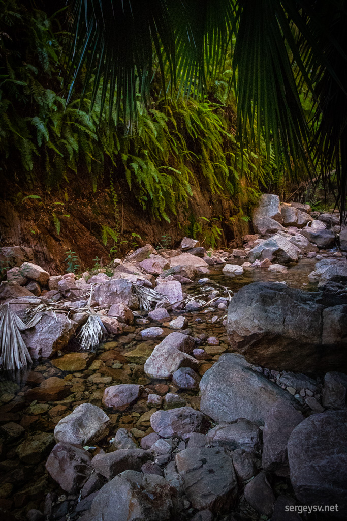 A stream is trickling along the path.