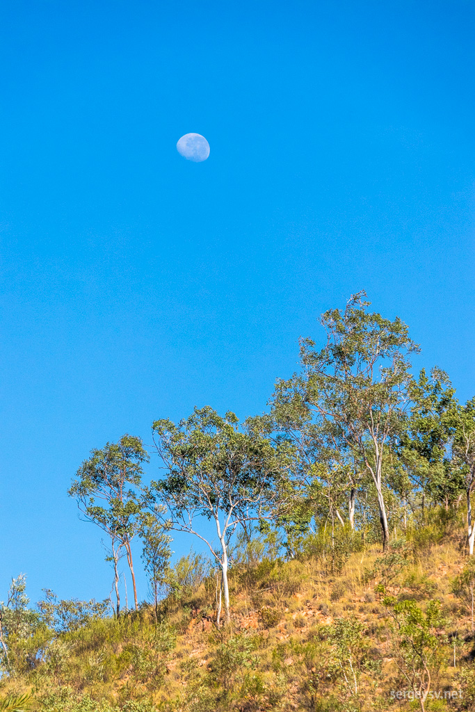 Love a pretty moon.