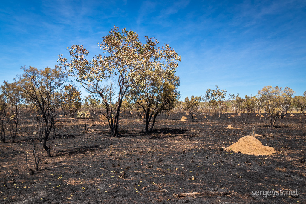 Some bushfires happened here, too.