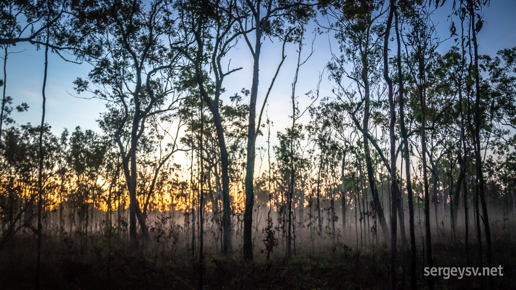 The evening mist creeps out.