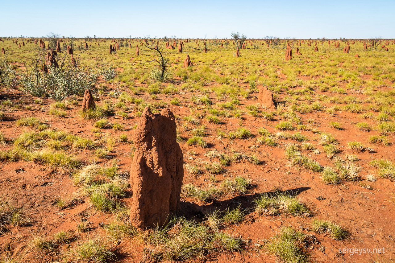 Goodbye, Tanami!