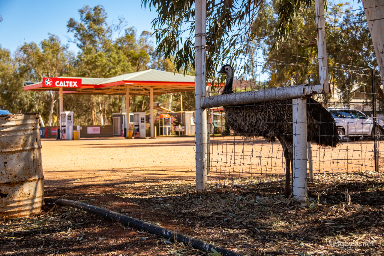 At the Stuarts Well Roadhouse.