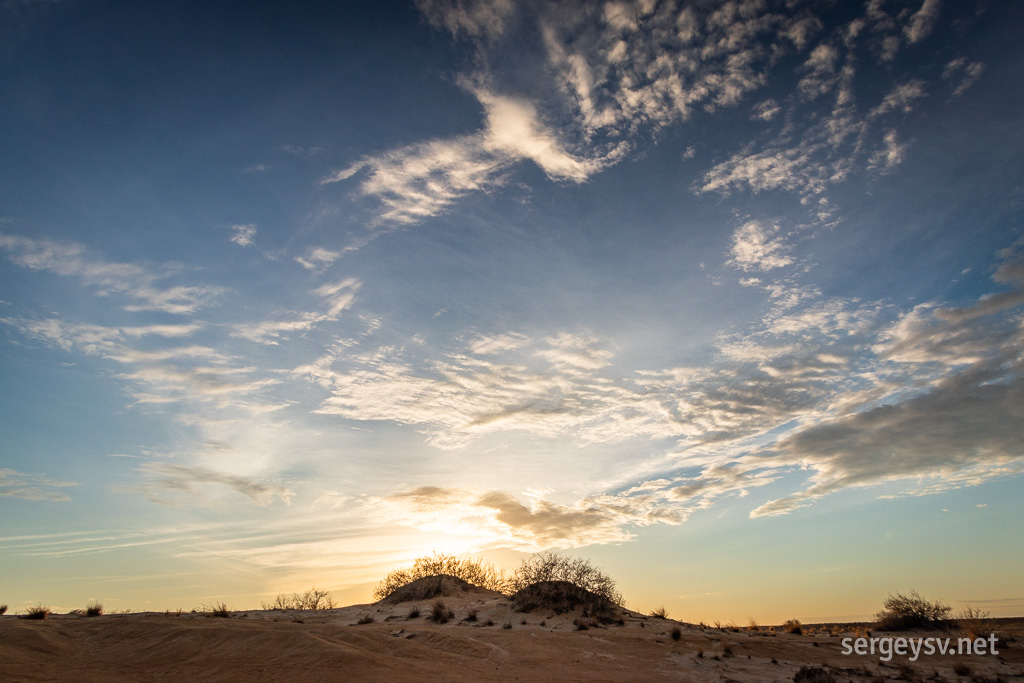 Love a dune.