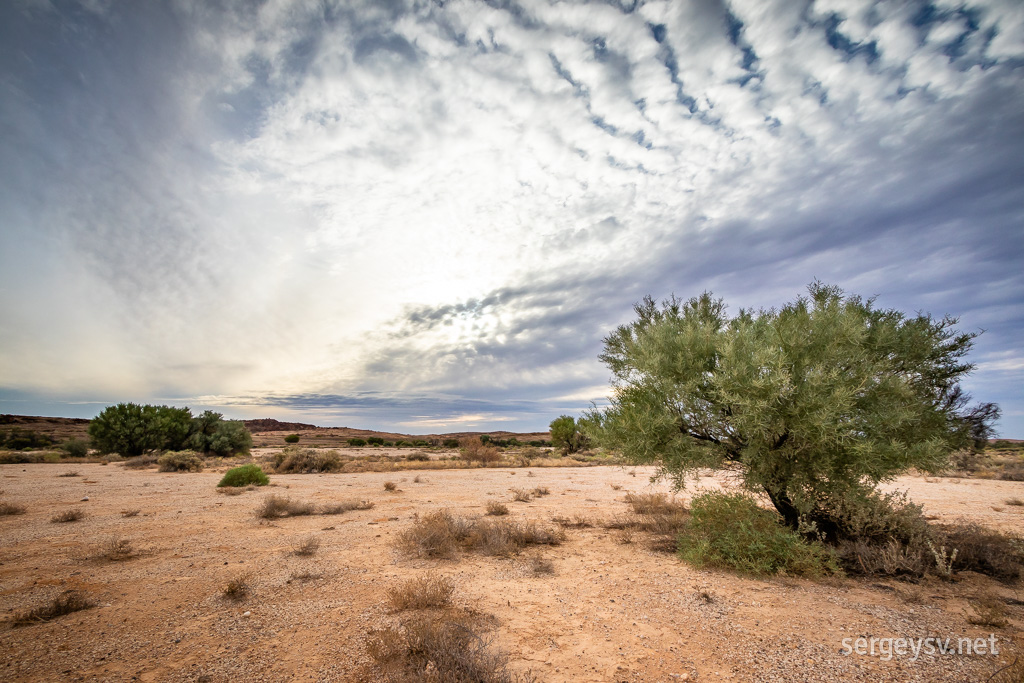 I'm in love with these clouds. And this landscape.