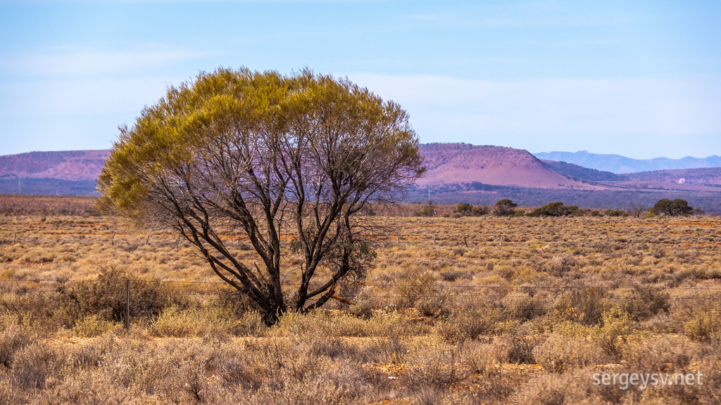 Hello again, Flinders Ranges!