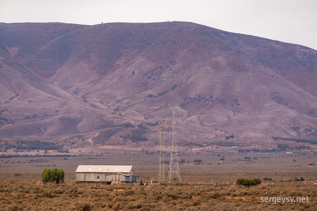 Flinders Ranges up close.