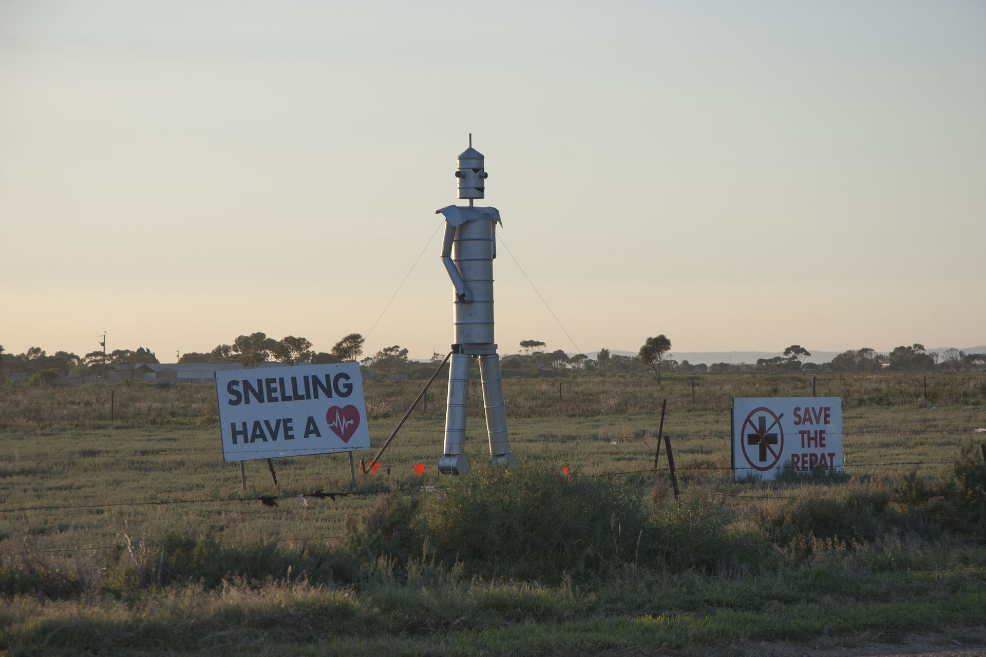 Snelling is the Health Minister of SA.