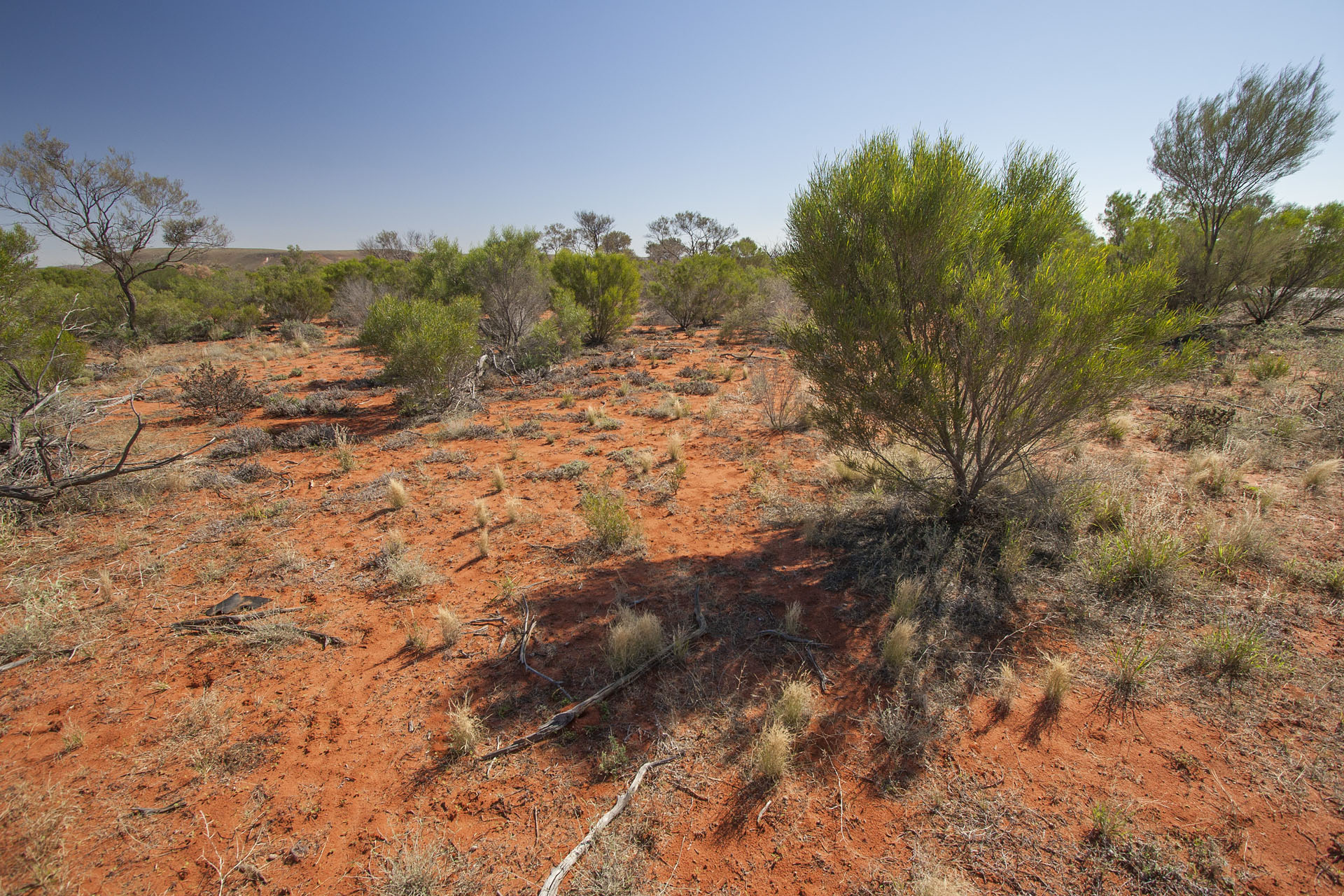 The unwelcoming outback.