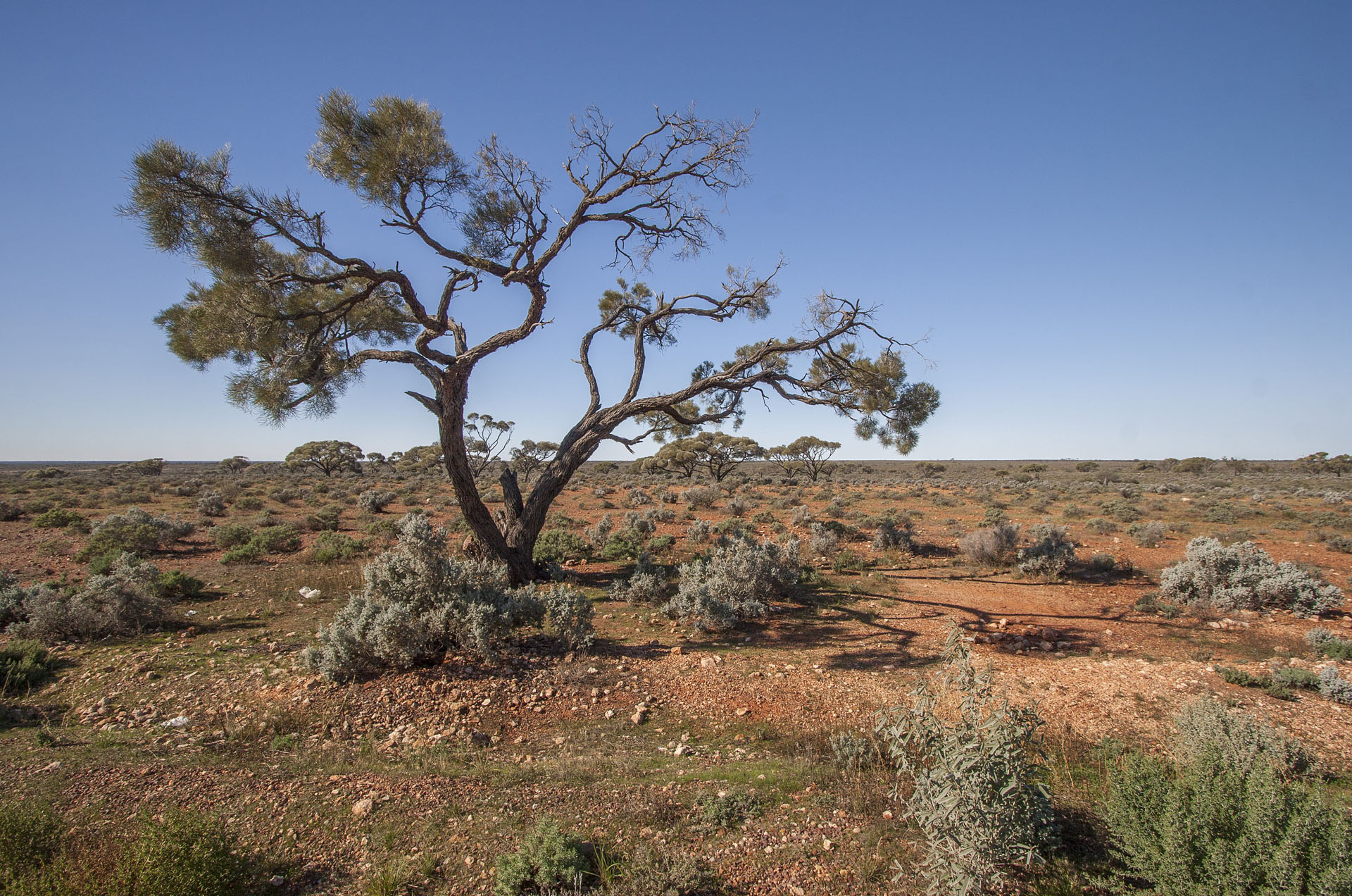 Surrounded by desert.