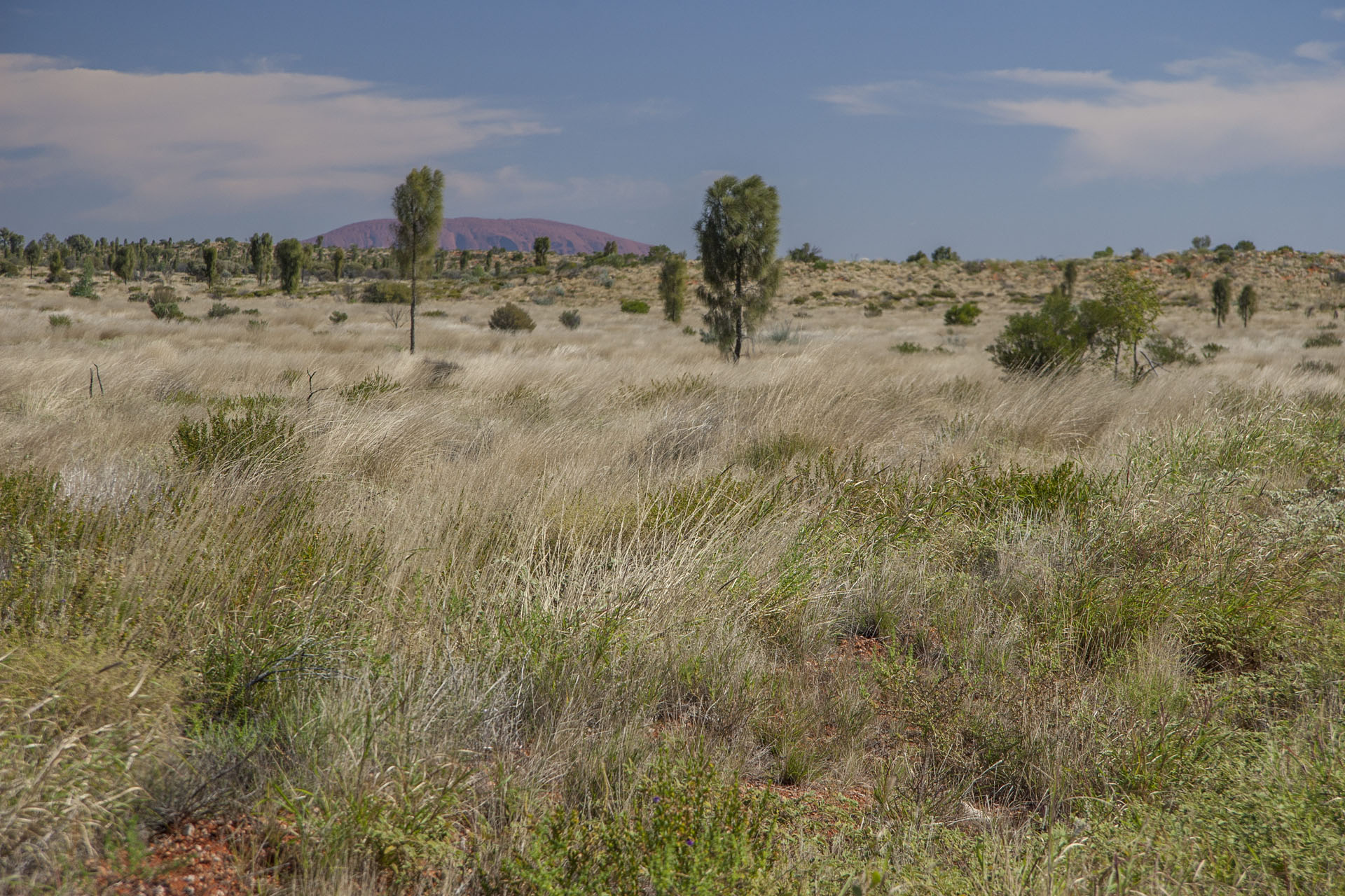 Uluru is close.