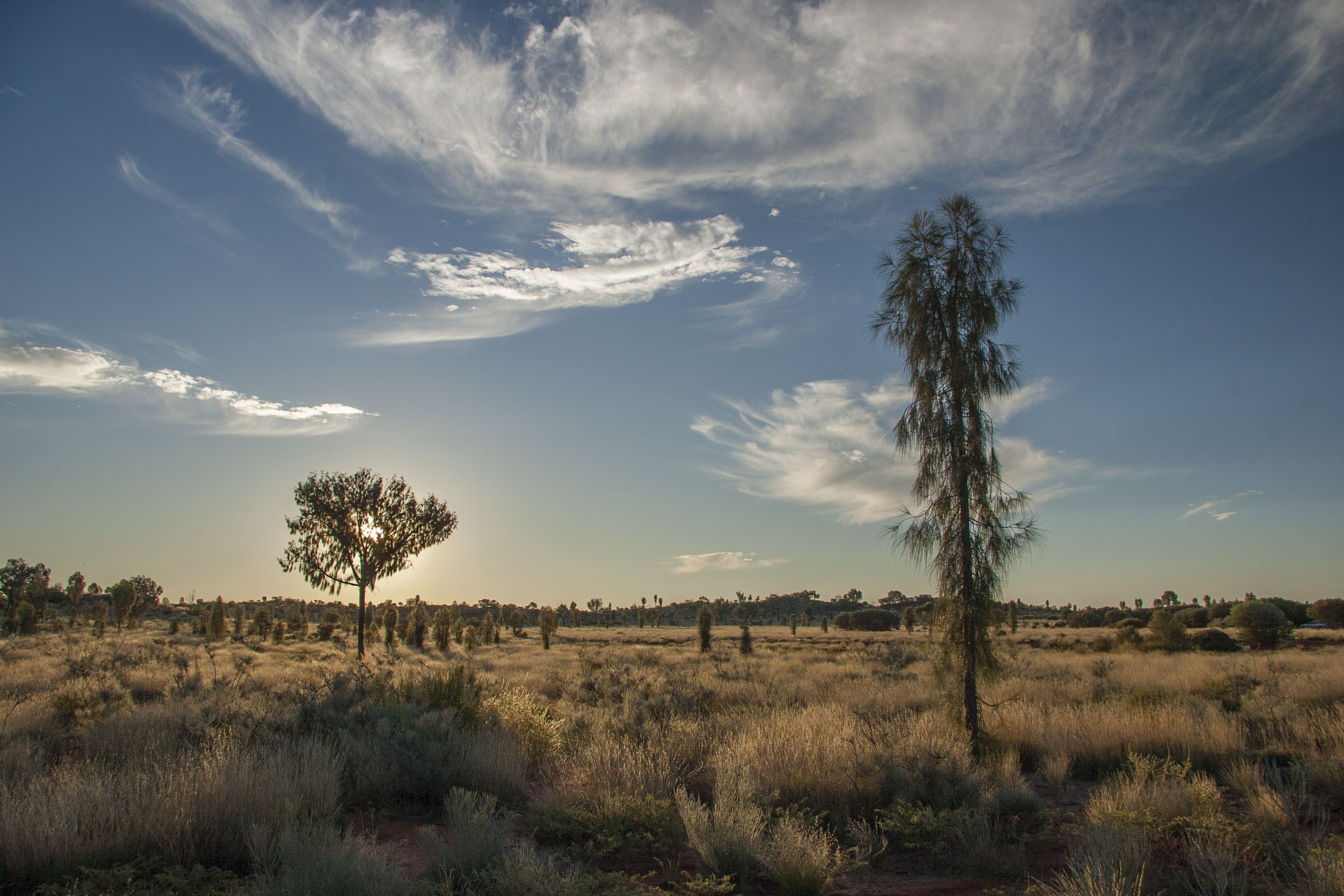 The scenery around.