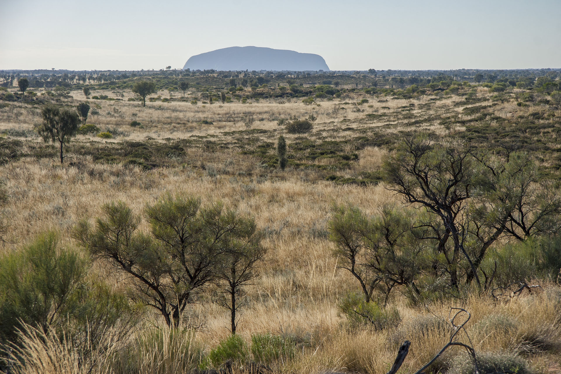 Last glance at the Uluru.