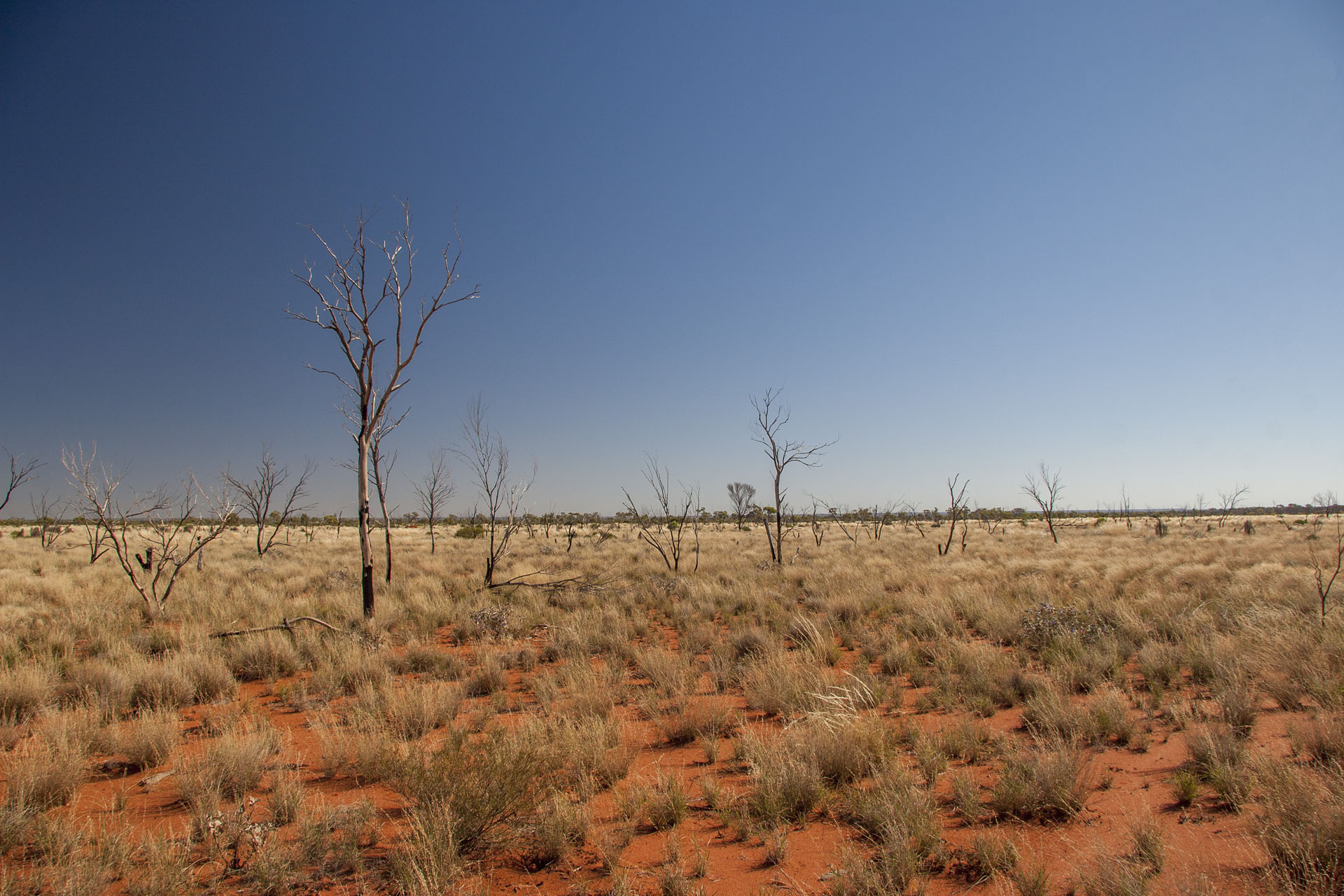 The surrounding desert.