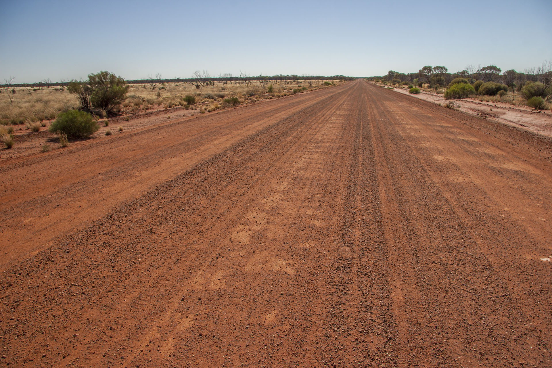 I could travel on a dirt road like this all day.