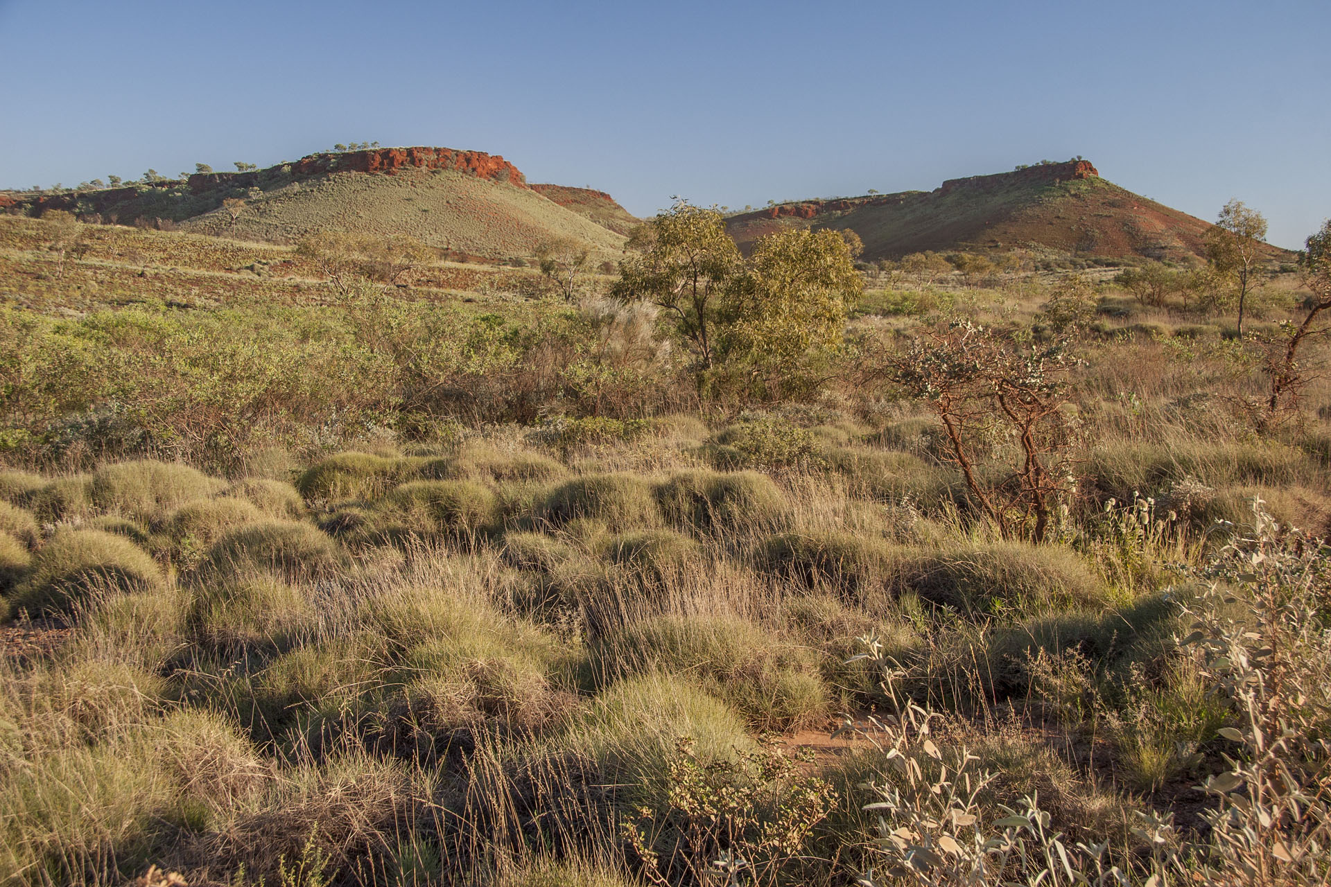 Ranges nearby.