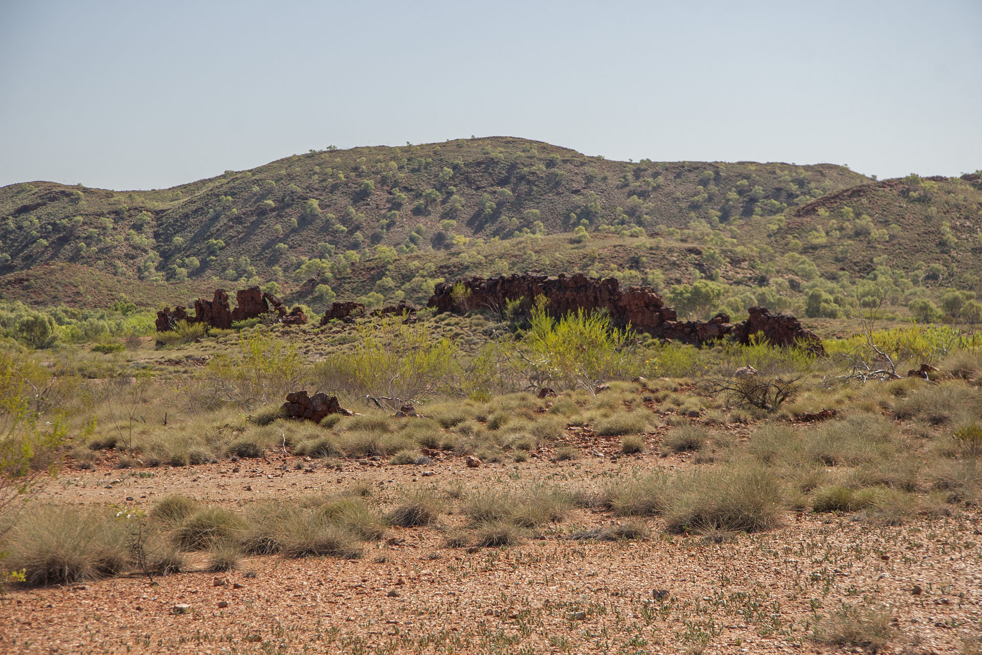 A crumbled “wall” that humans never built.