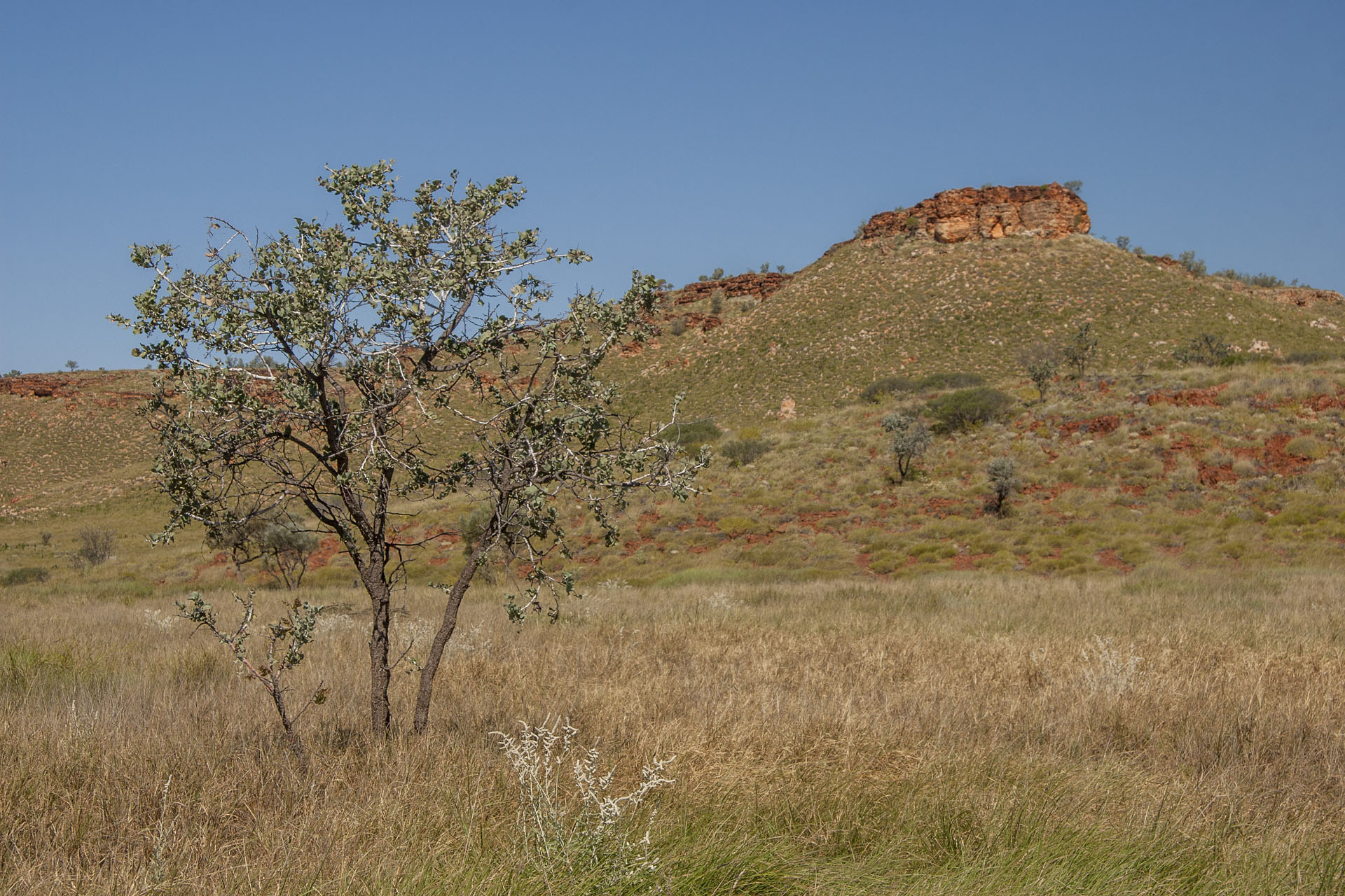 Arid landscape.