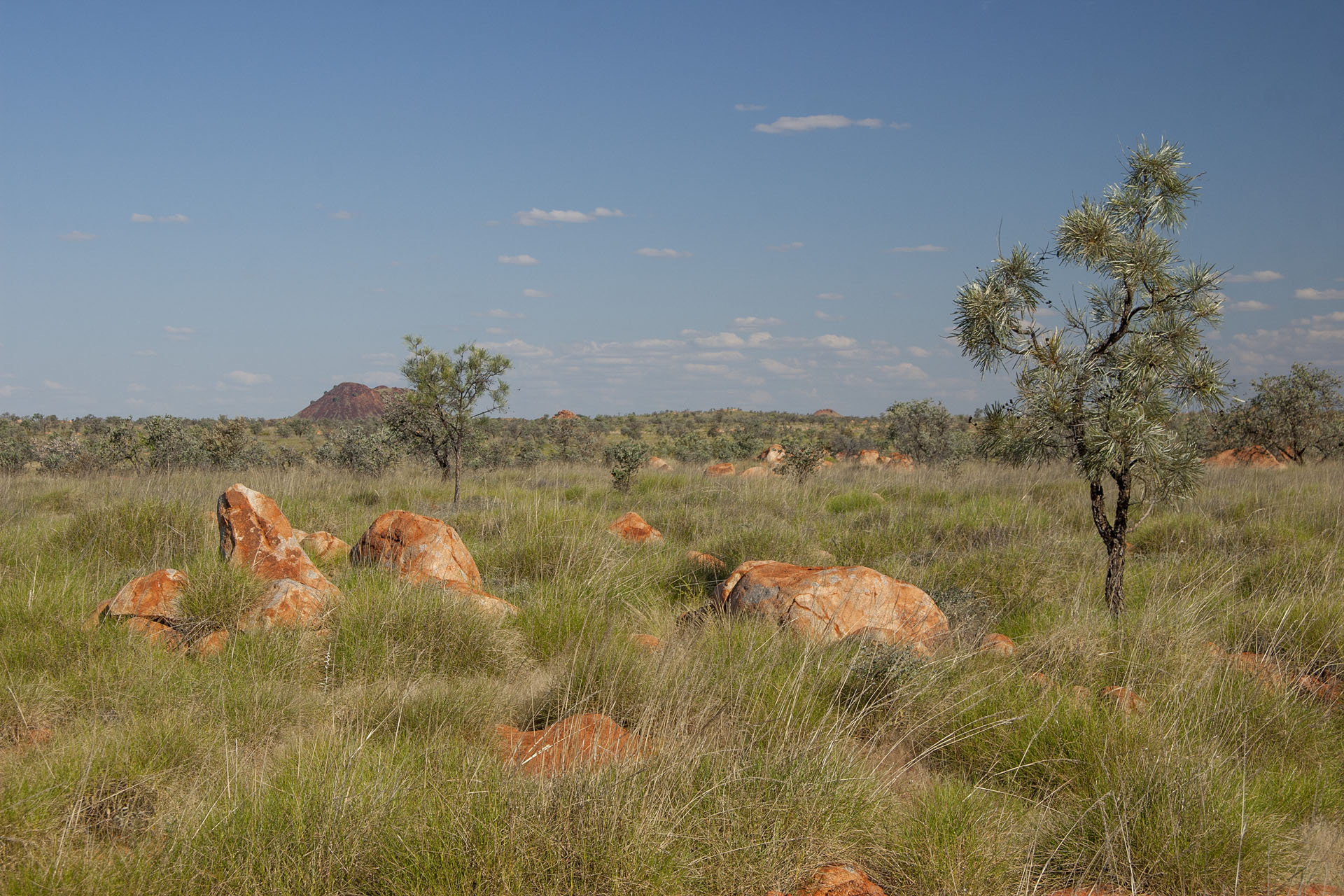 Some granite boulders, too.