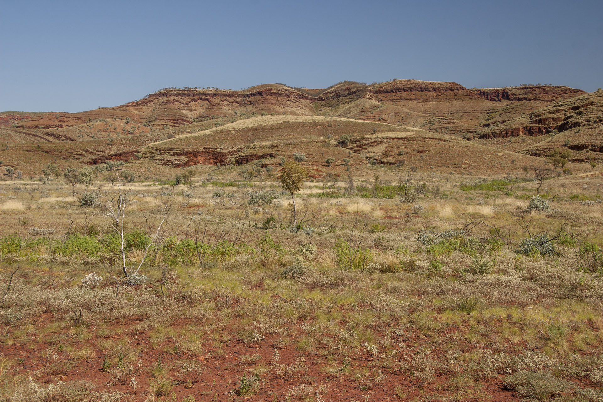 The roadside scenery.