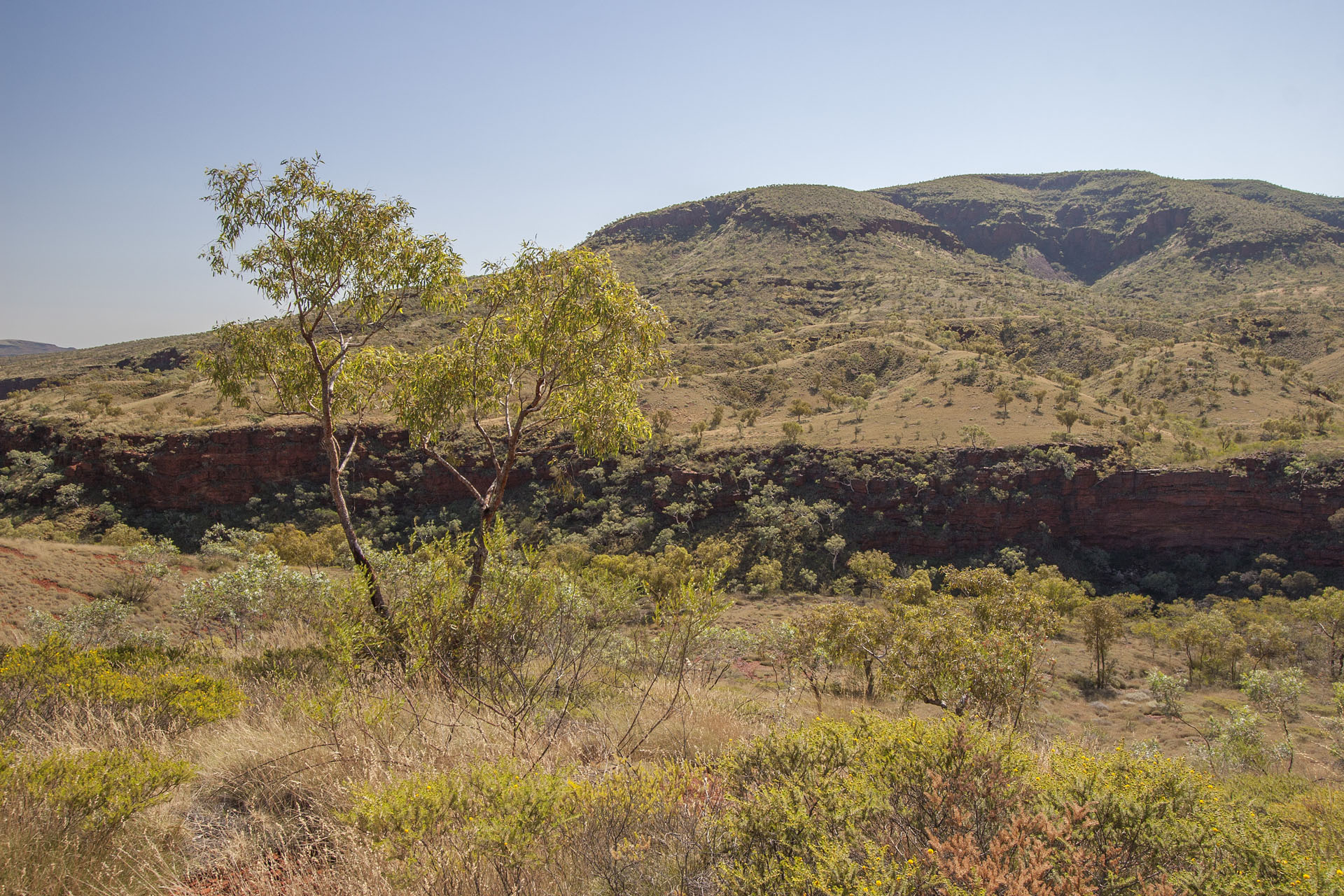 A gorge nearby.