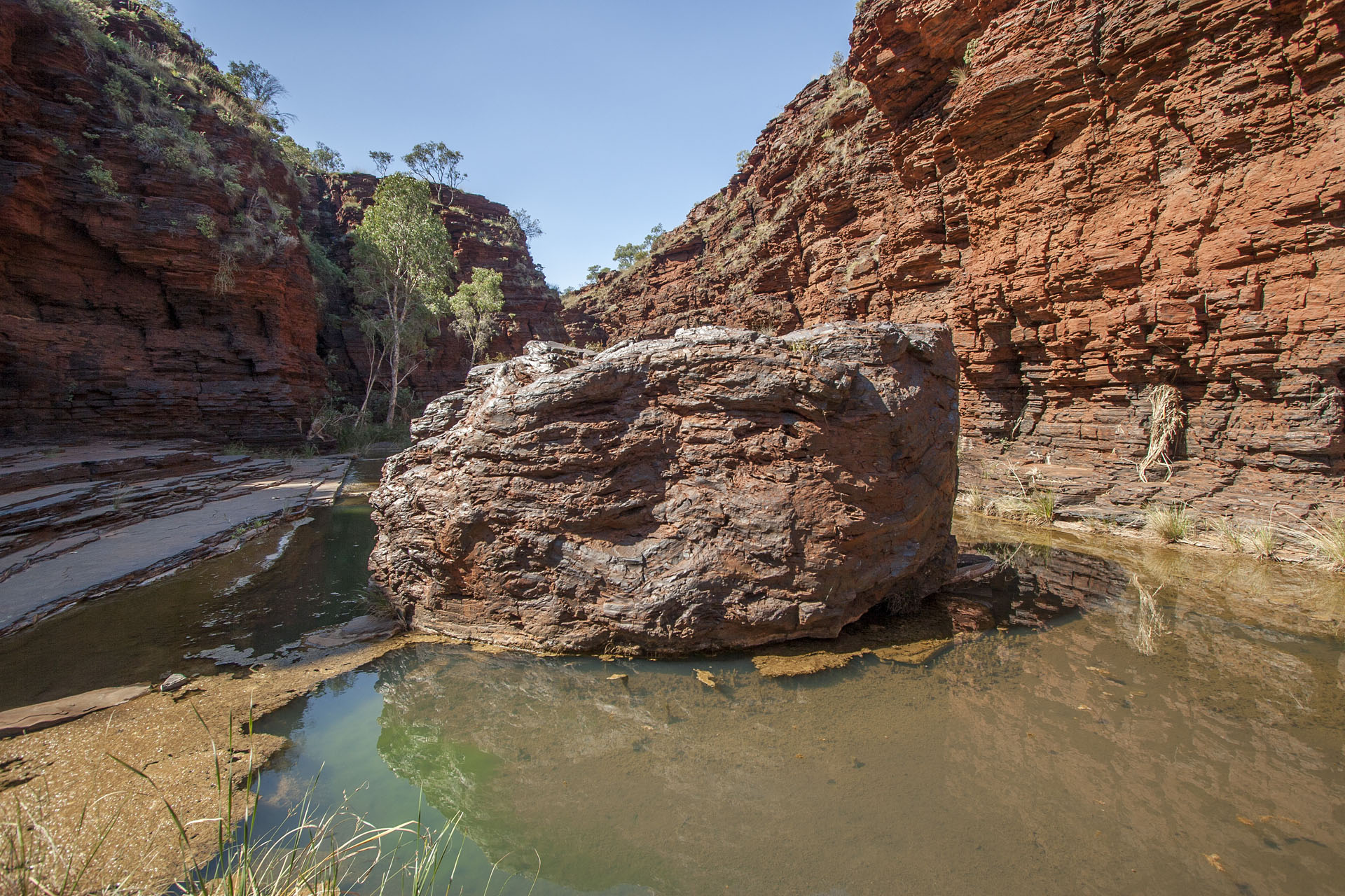 A rock up close.