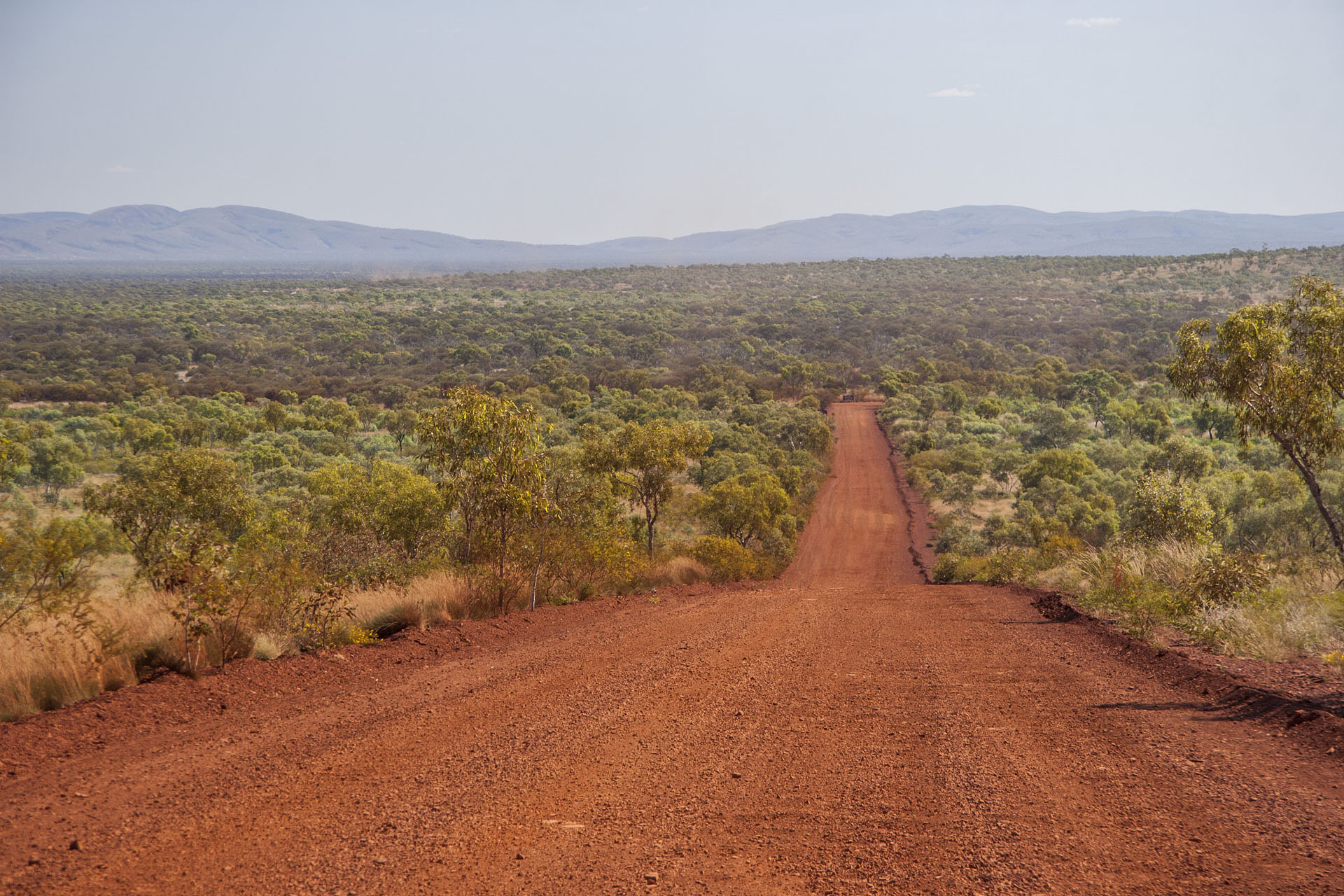 The road through the park.