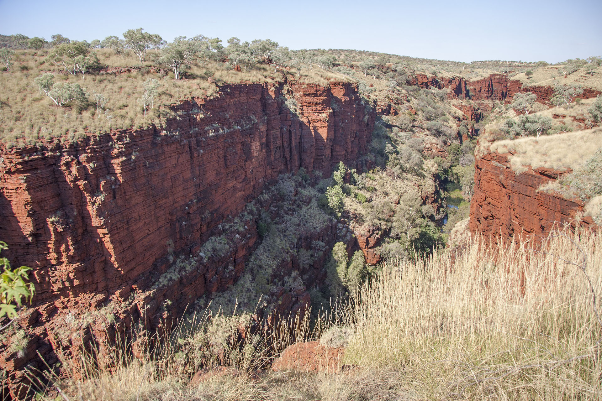 The gorge itself.