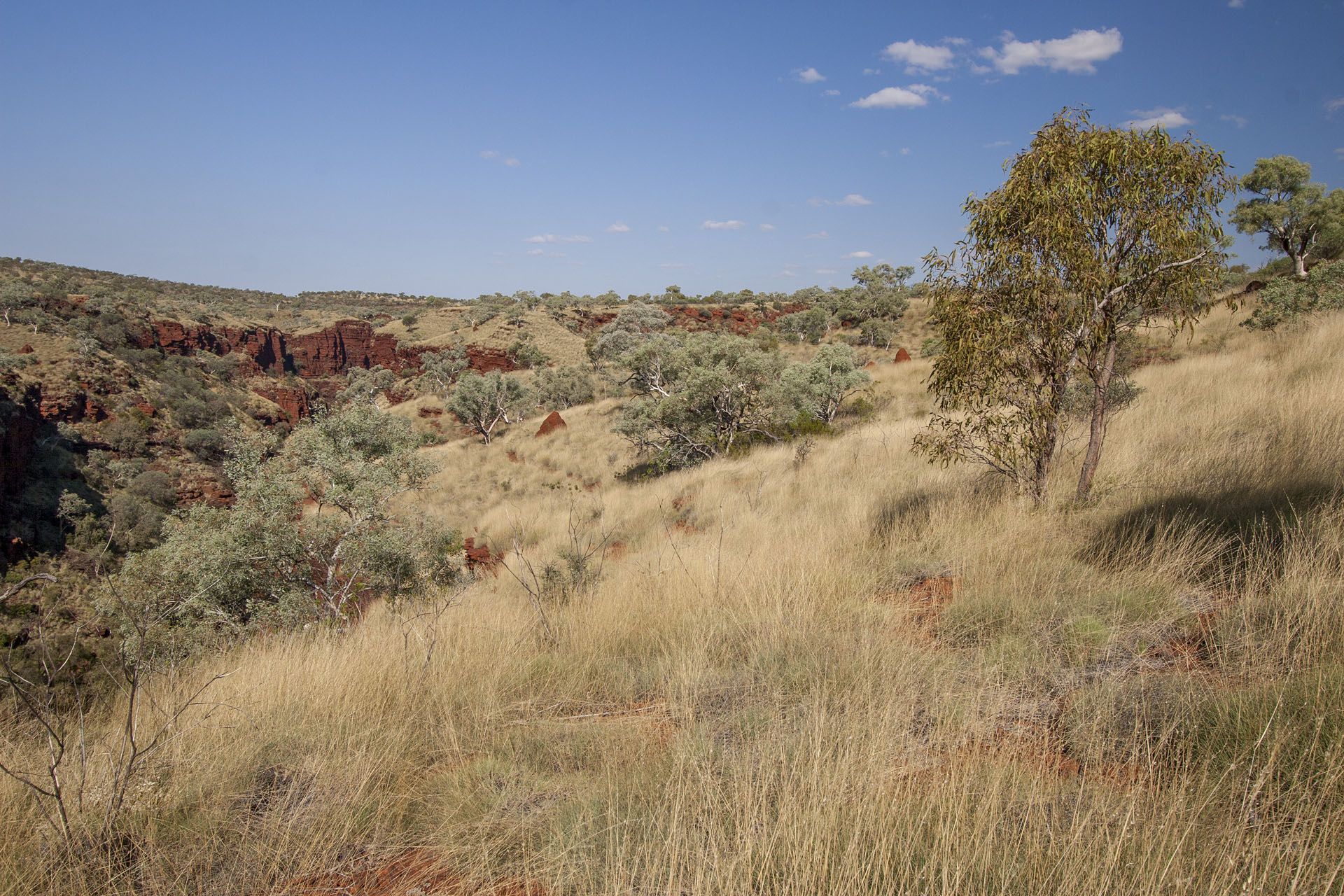 The surrounding scenery.