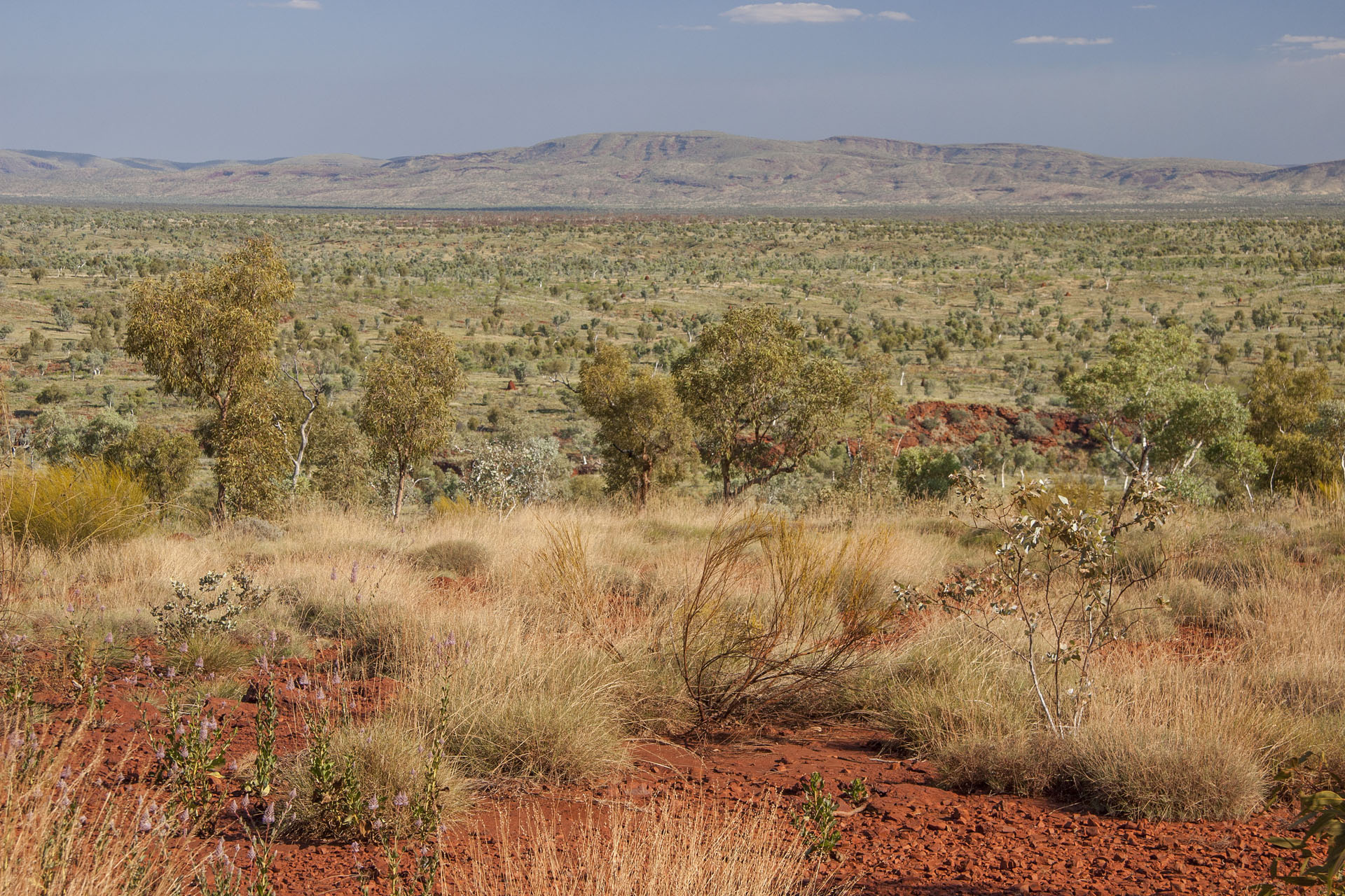 Hamersley Ranges again.