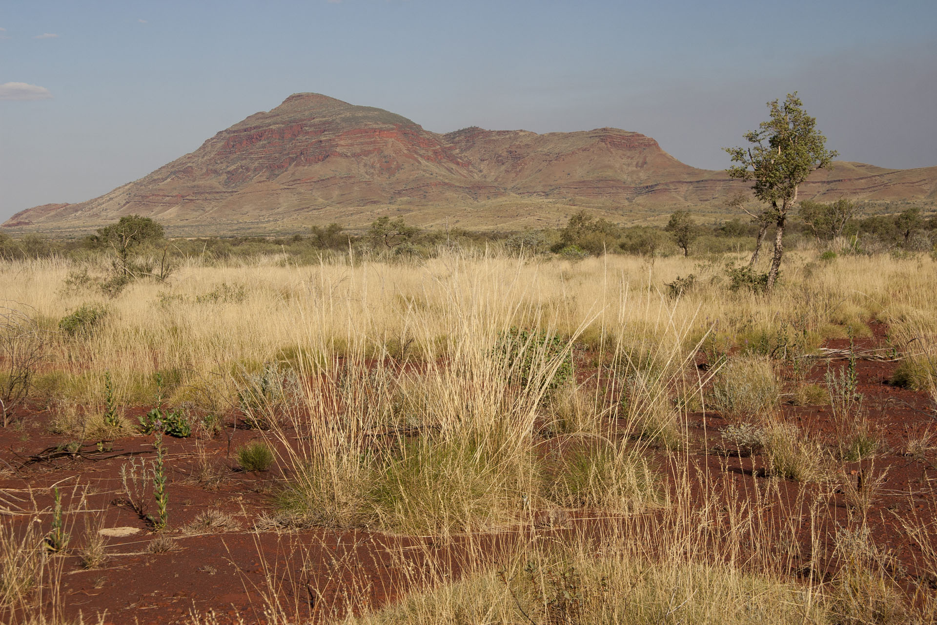 Mount Bruce, the second tallest in WA.