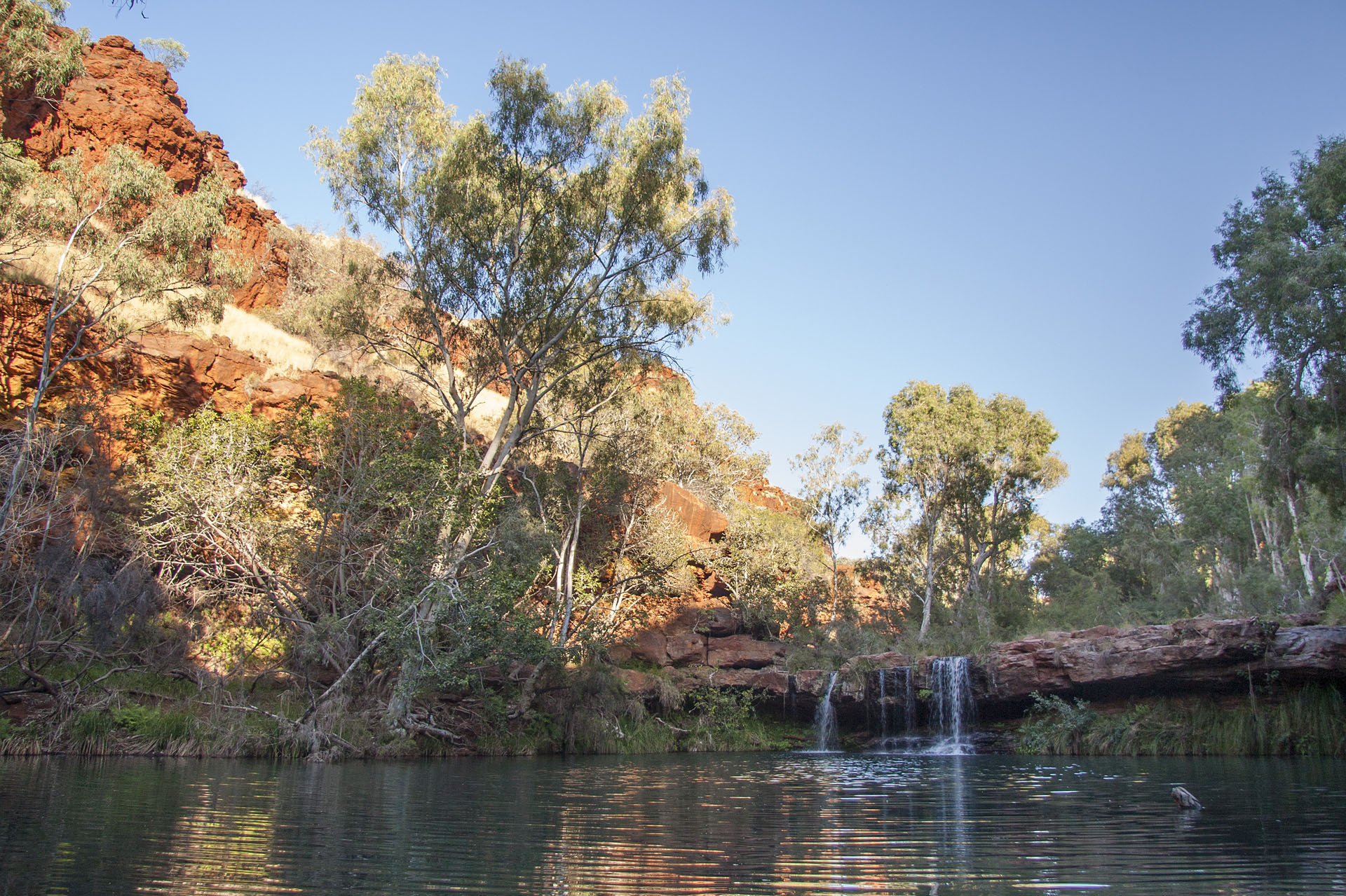 The Fern Pool.